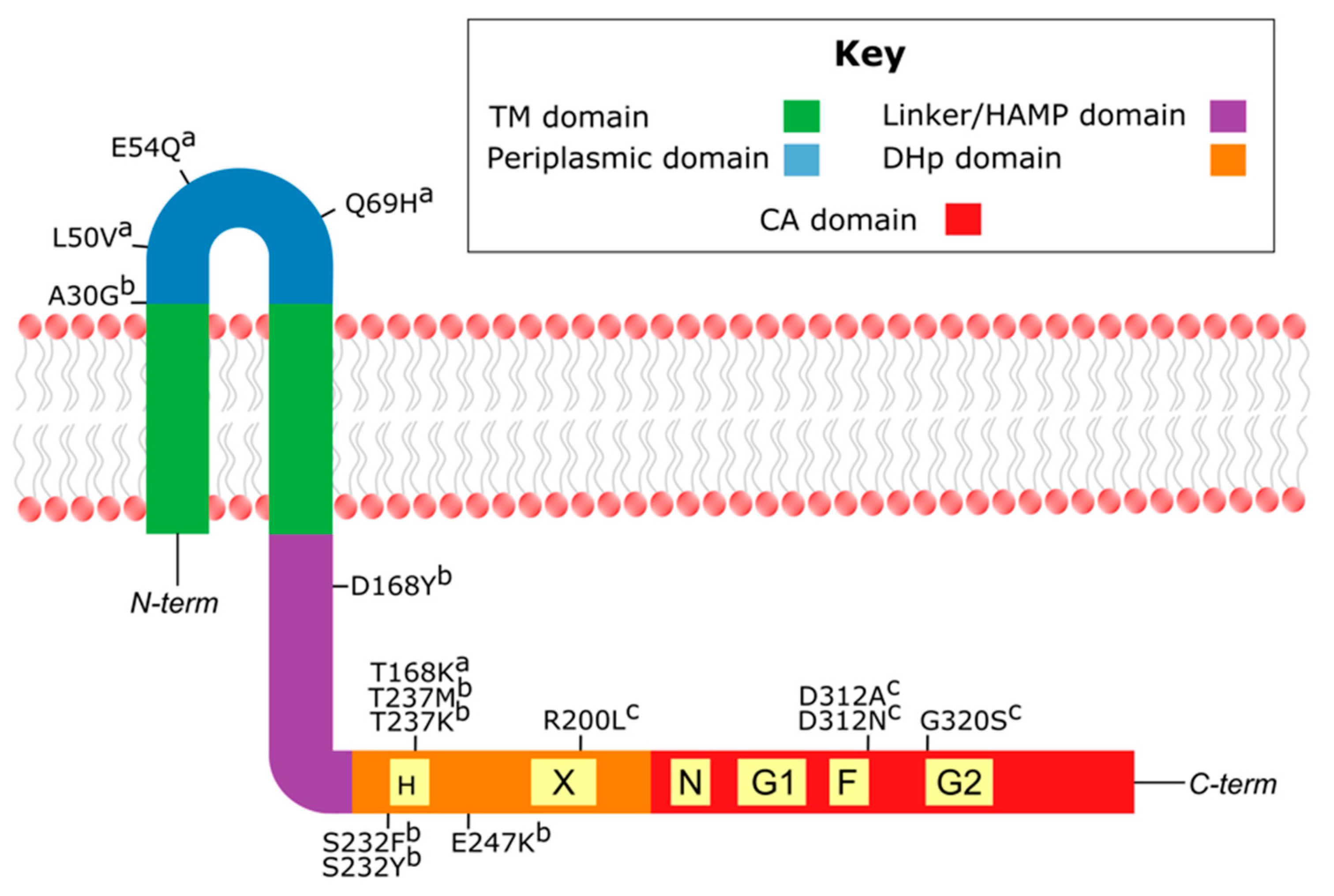 Microorganisms 09 02026 g005