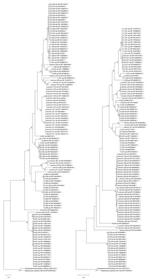 Microorganisms 09 02026 g006