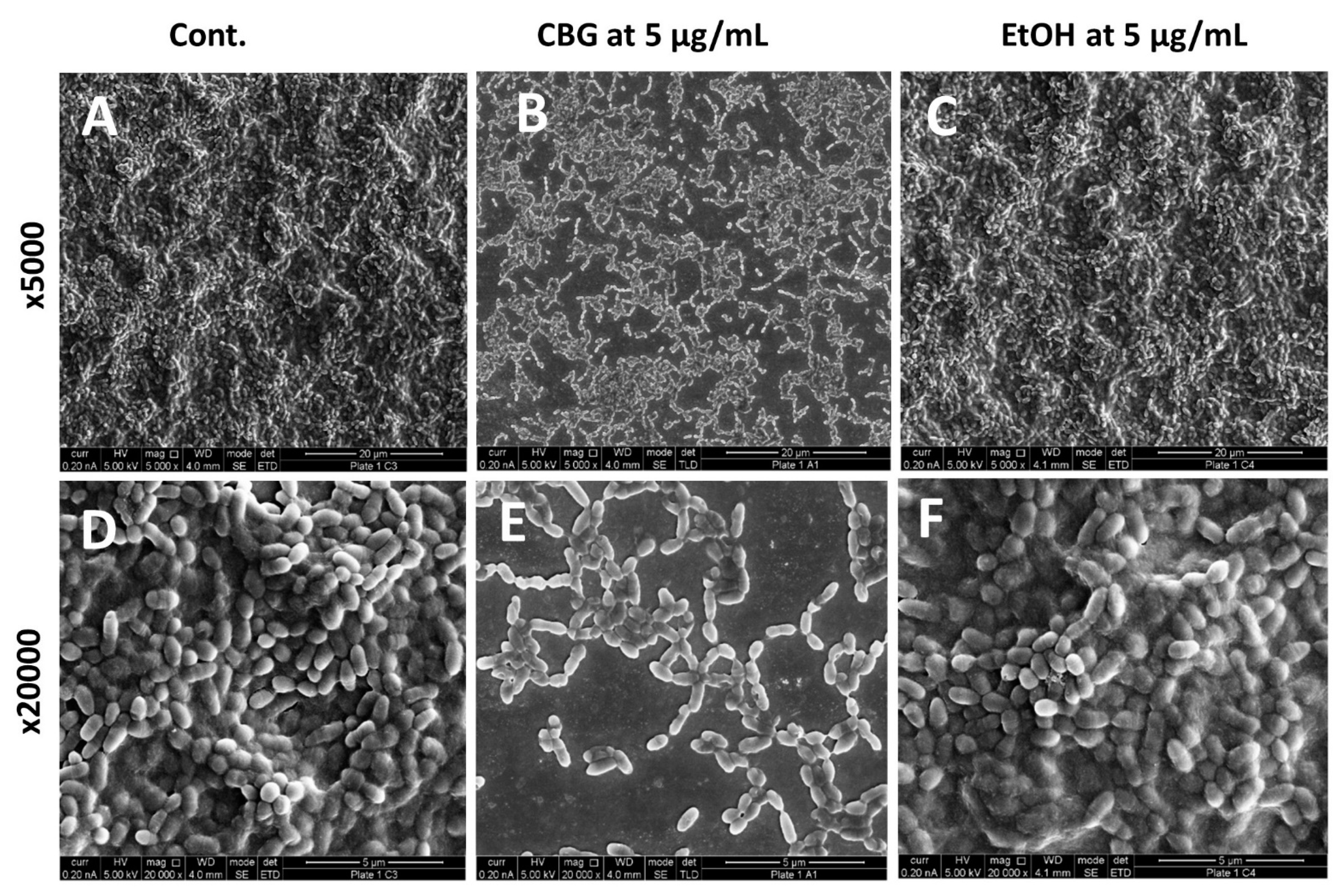 Microorganisms 09 02031 g002