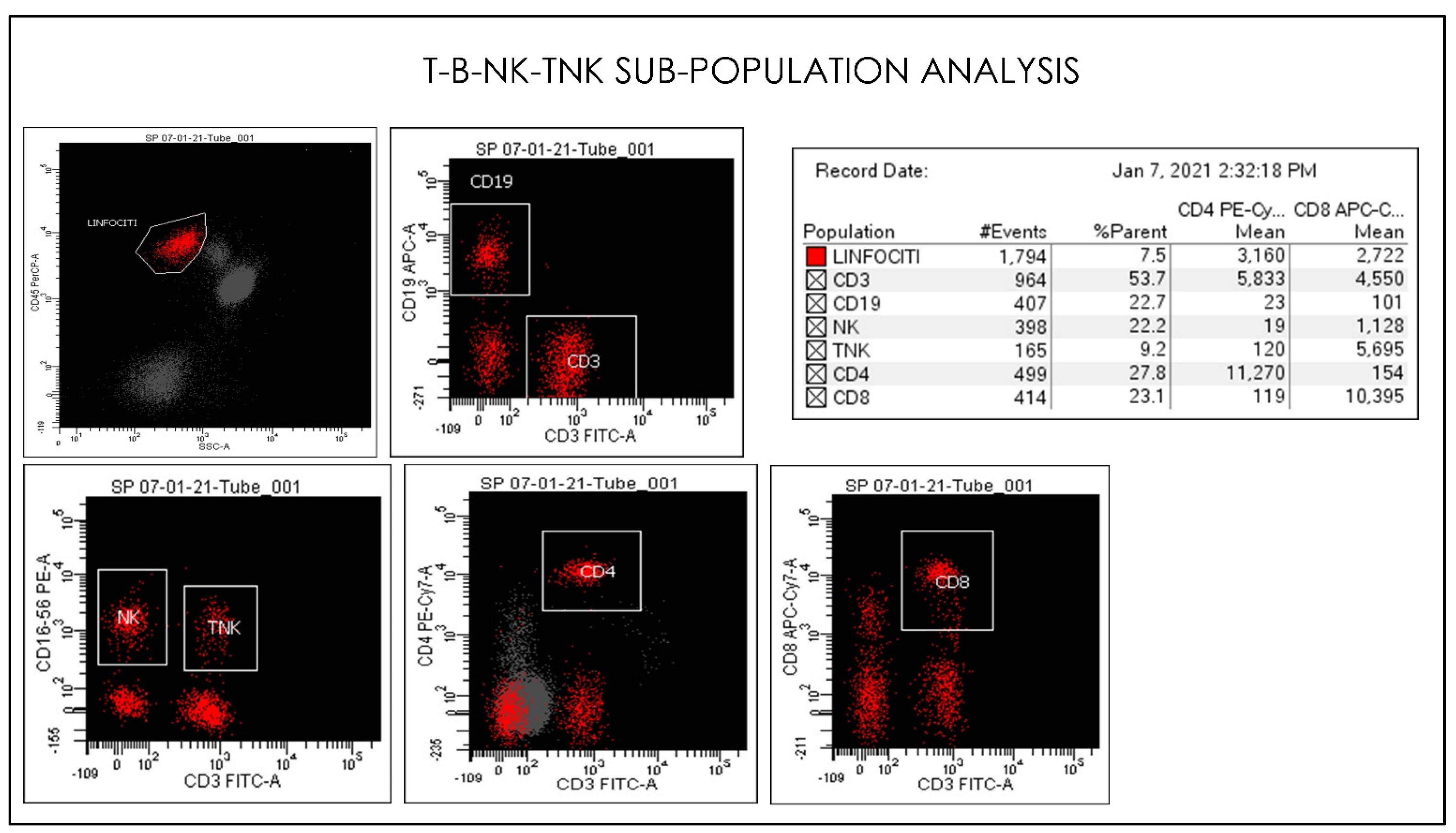 Microorganisms 09 02036 g010
