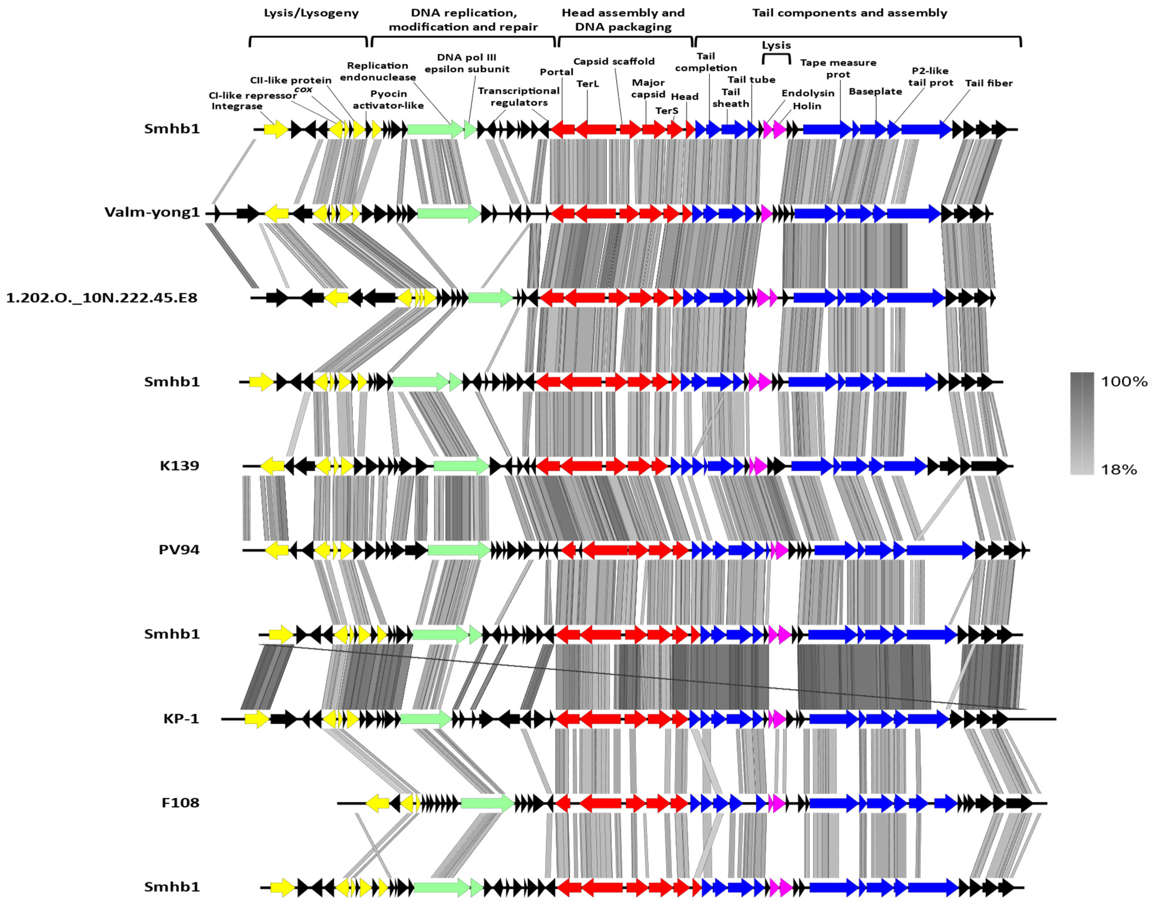 Microorganisms 09 02043 g003