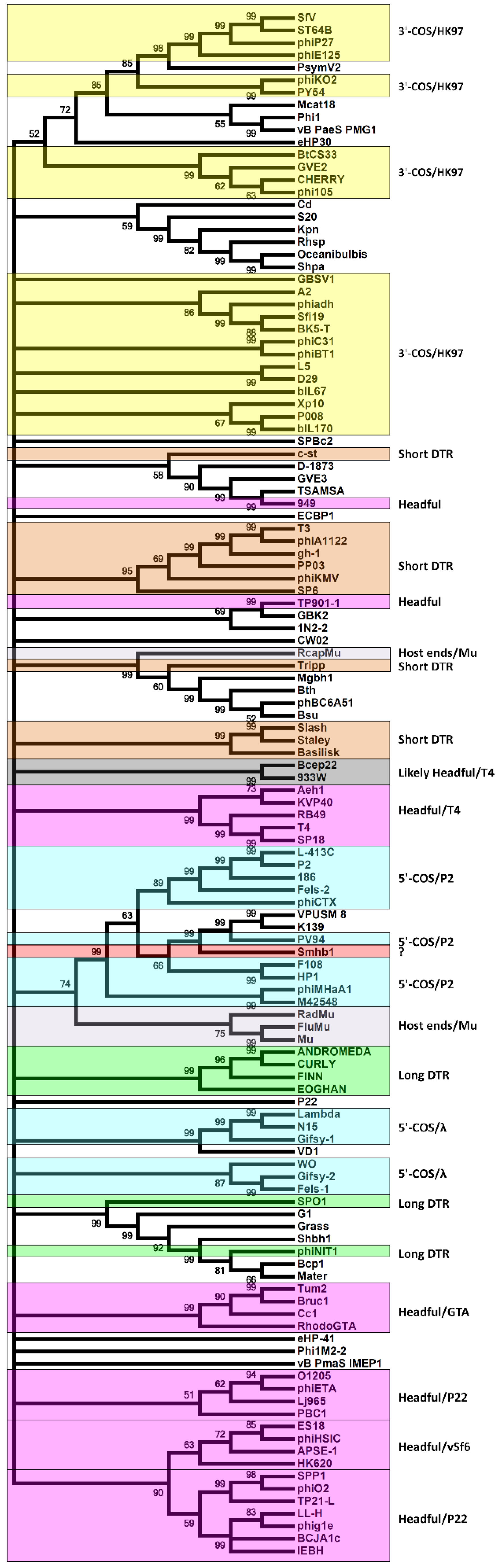 Microorganisms 09 02043 g005