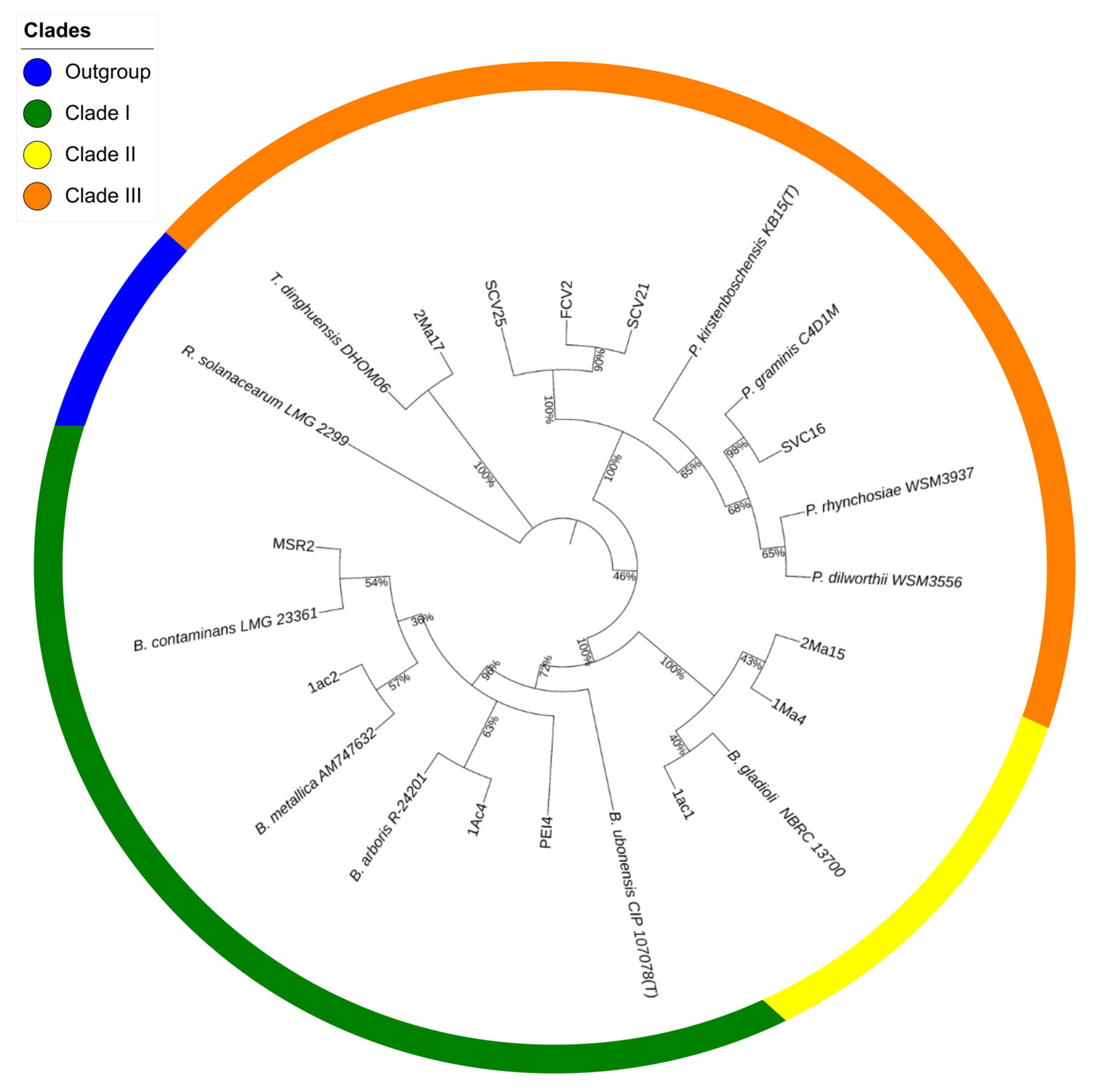 Microorganisms 09 02061 g001