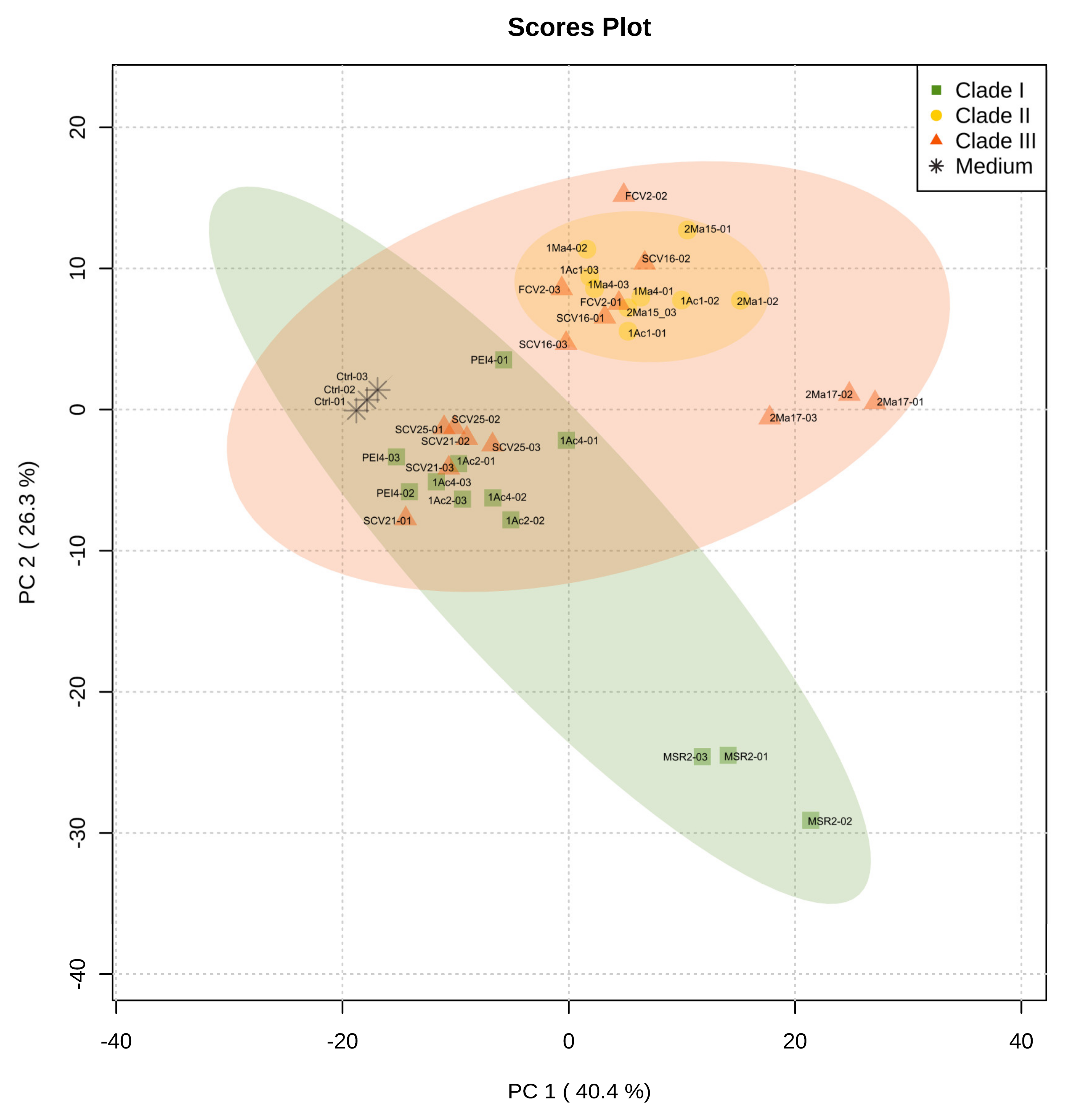 Microorganisms 09 02061 g004