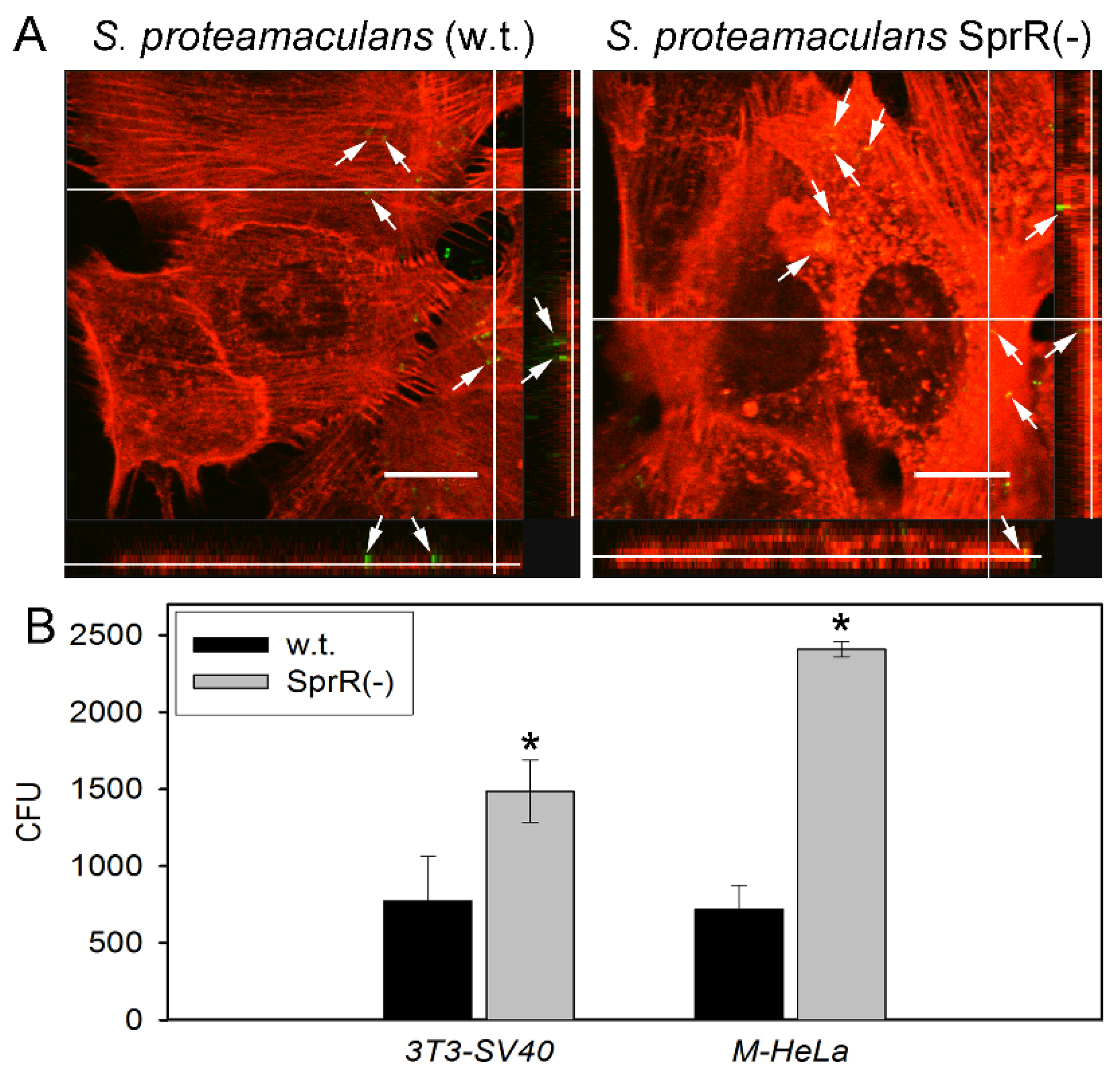 Microorganisms 09 02082 g001