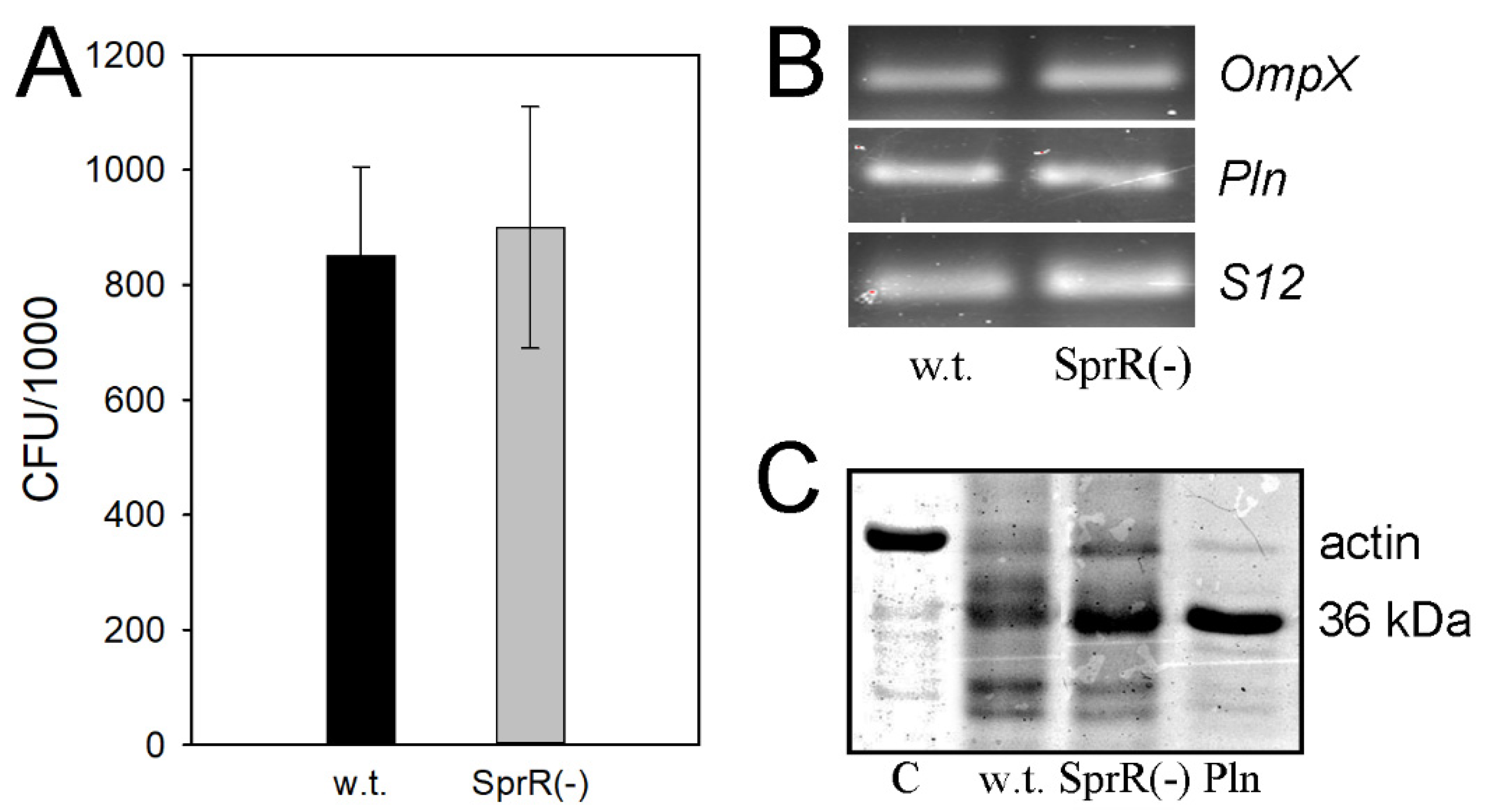 Microorganisms 09 02082 g002