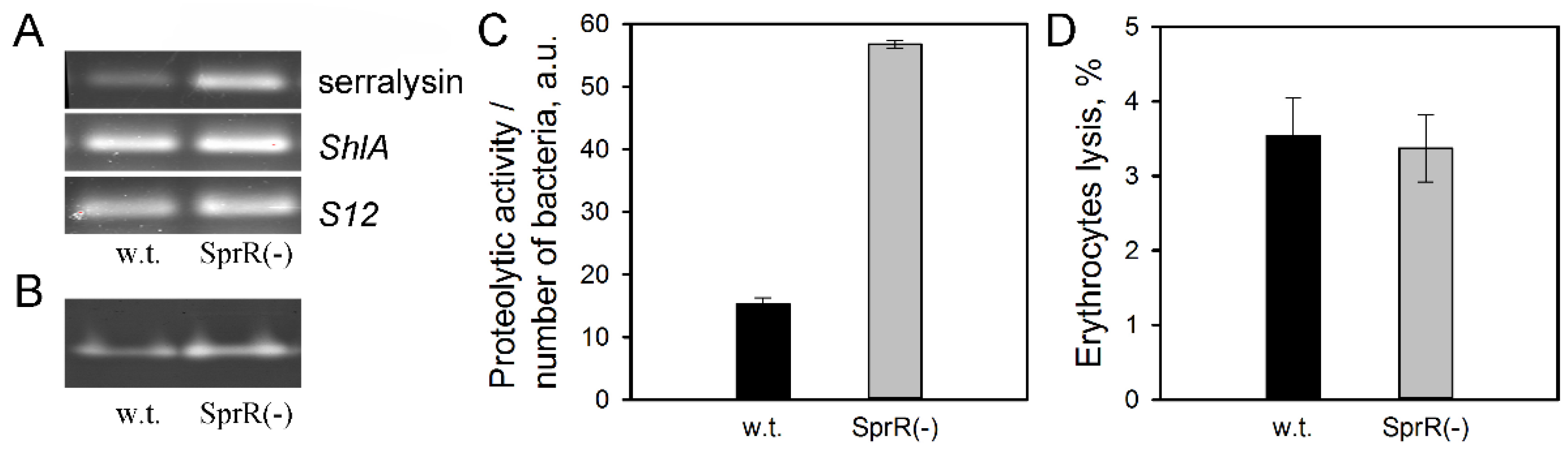 Microorganisms 09 02082 g003