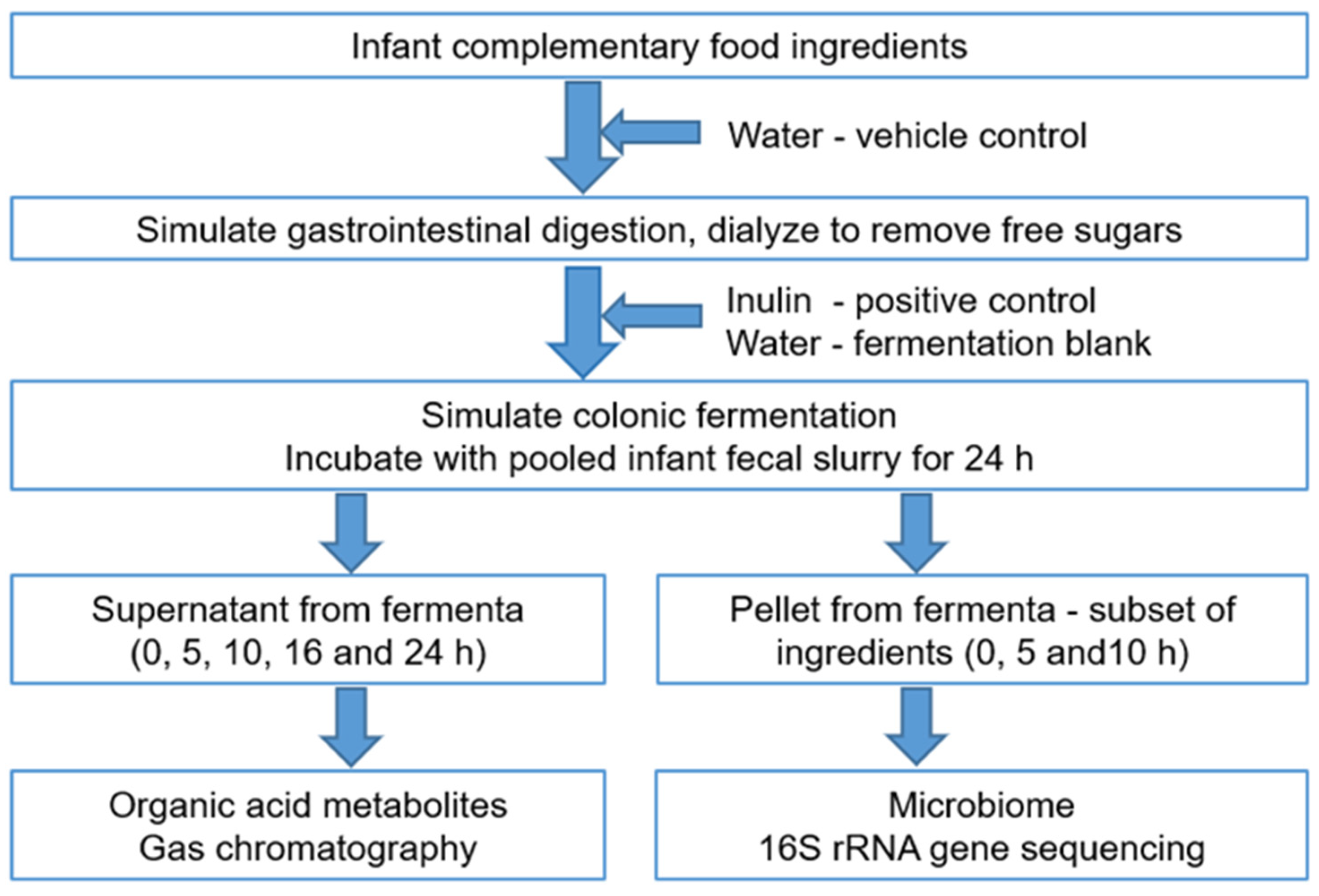 Microorganisms 09 02089 g001