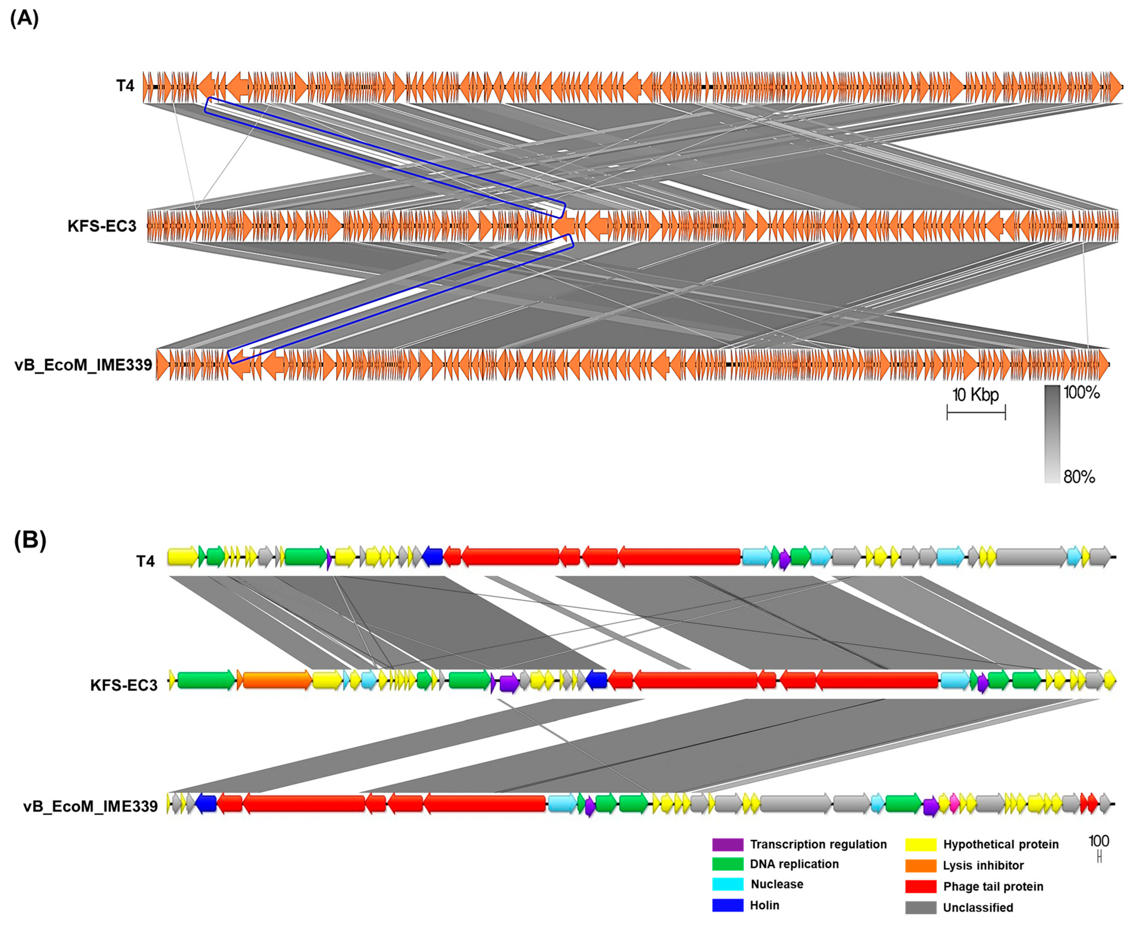 Microorganisms 09 02105 g008
