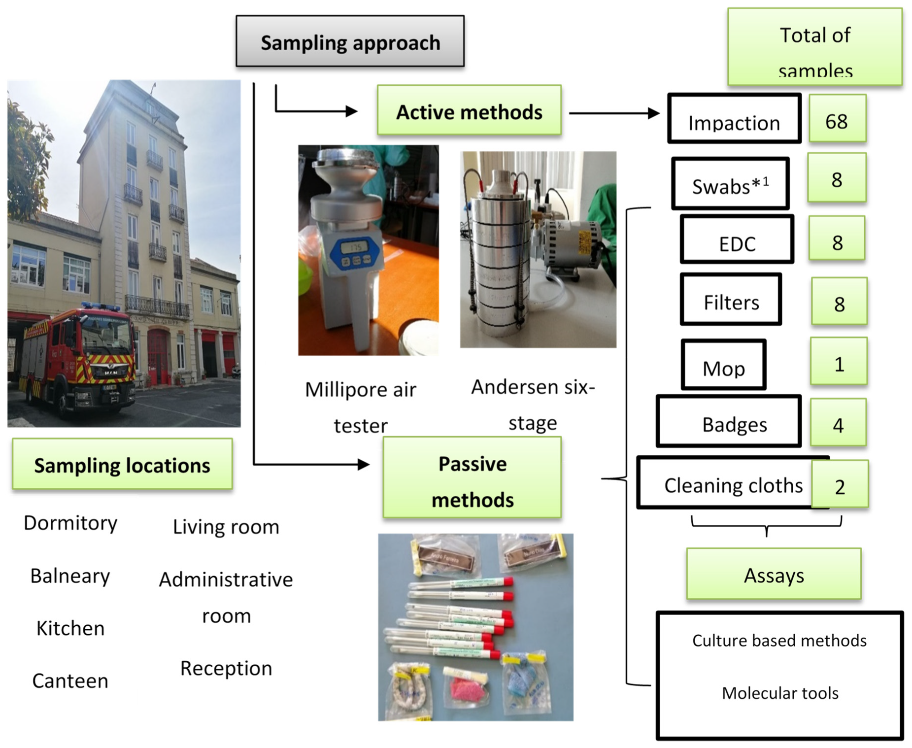 Microorganisms 09 02112 g002
