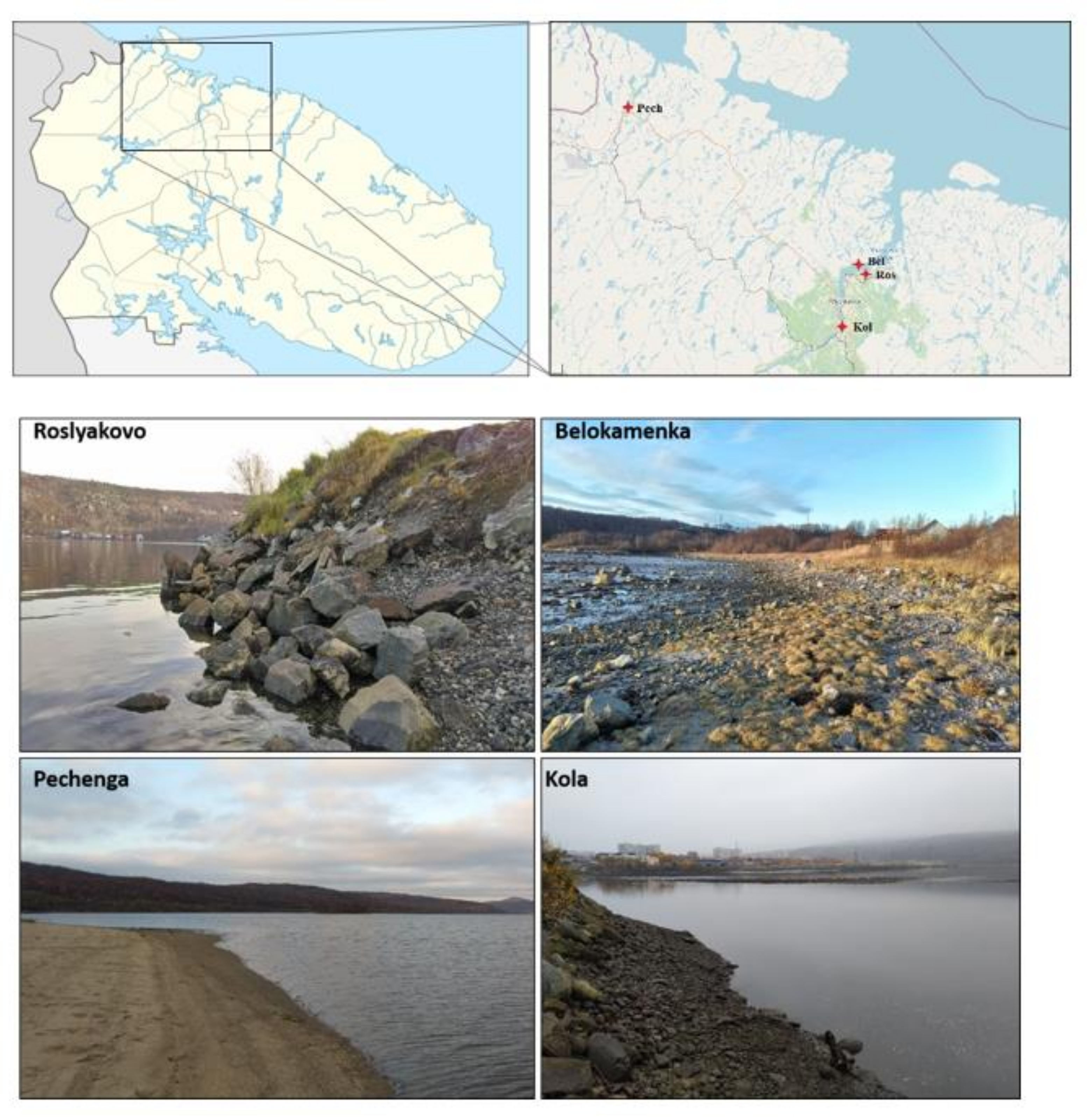 Microorganisms 09 02126 g001
