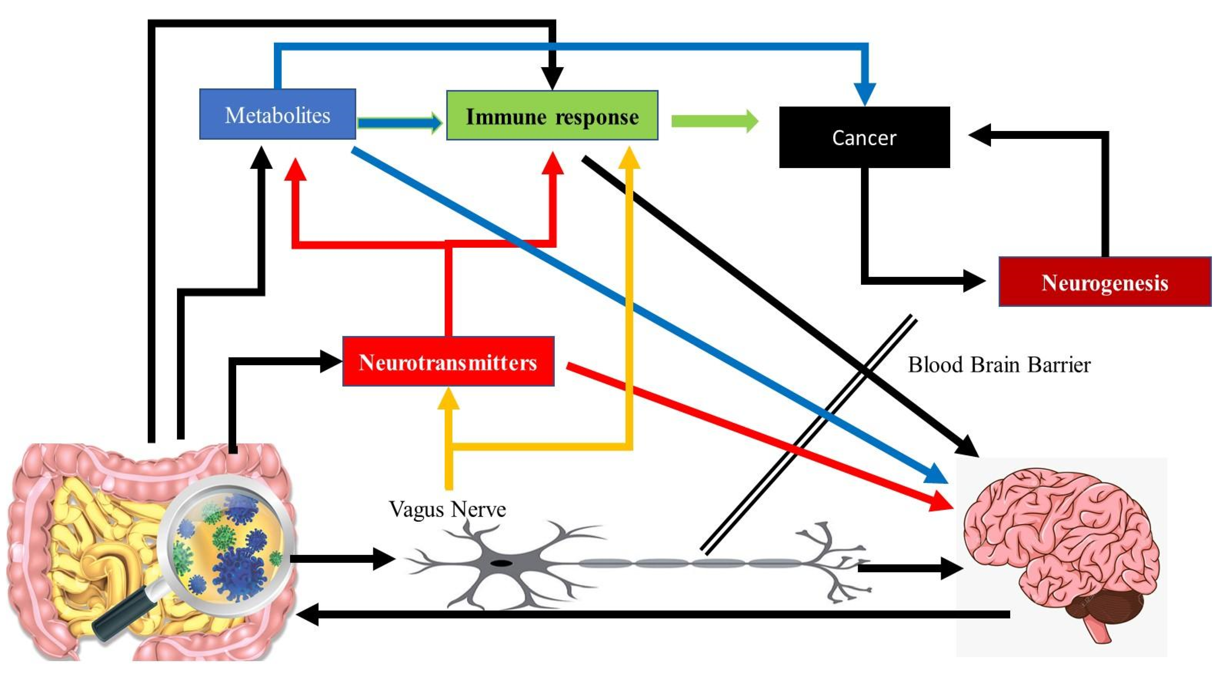 Microorganisms 09 02129 g002
