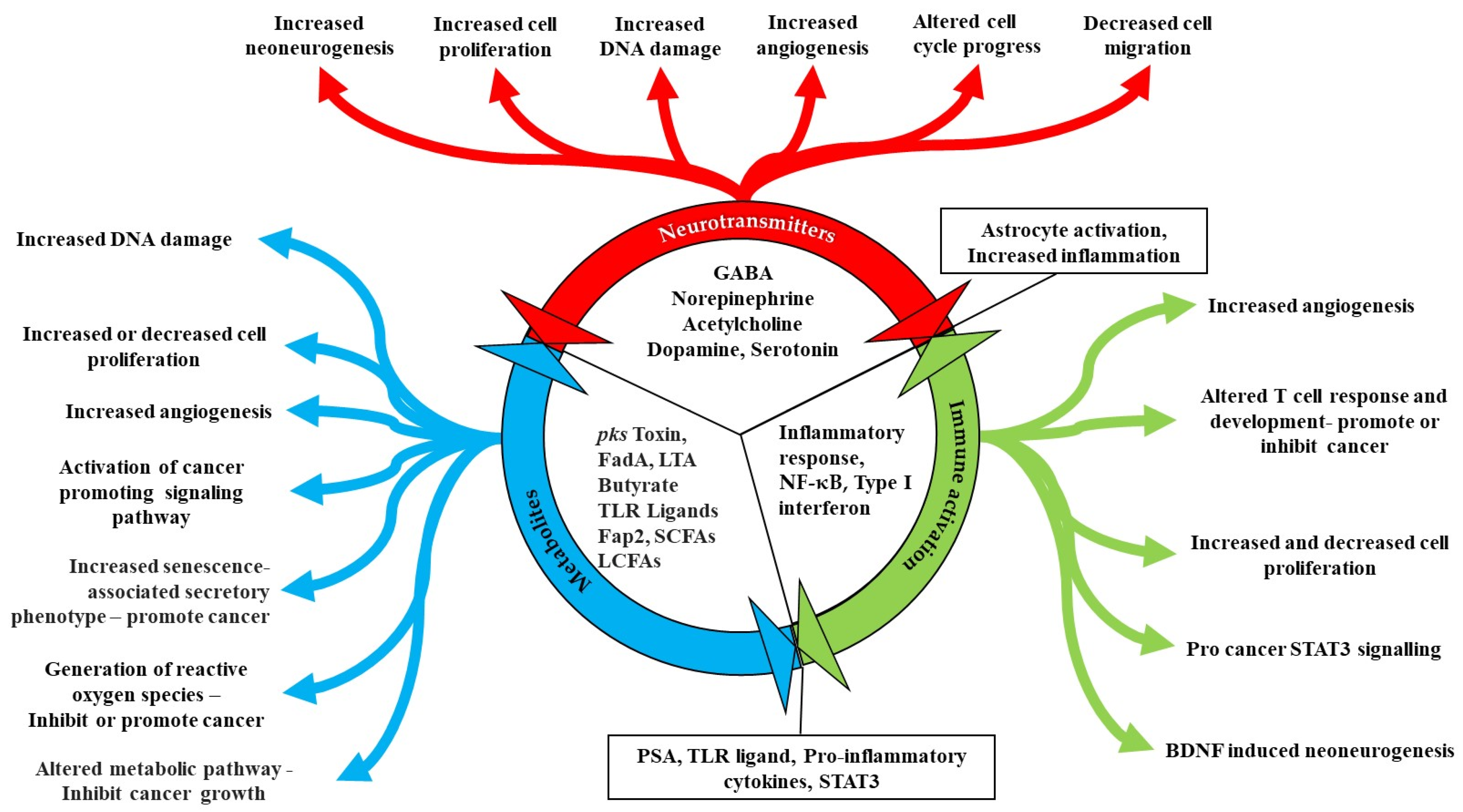 Microorganisms 09 02129 g006