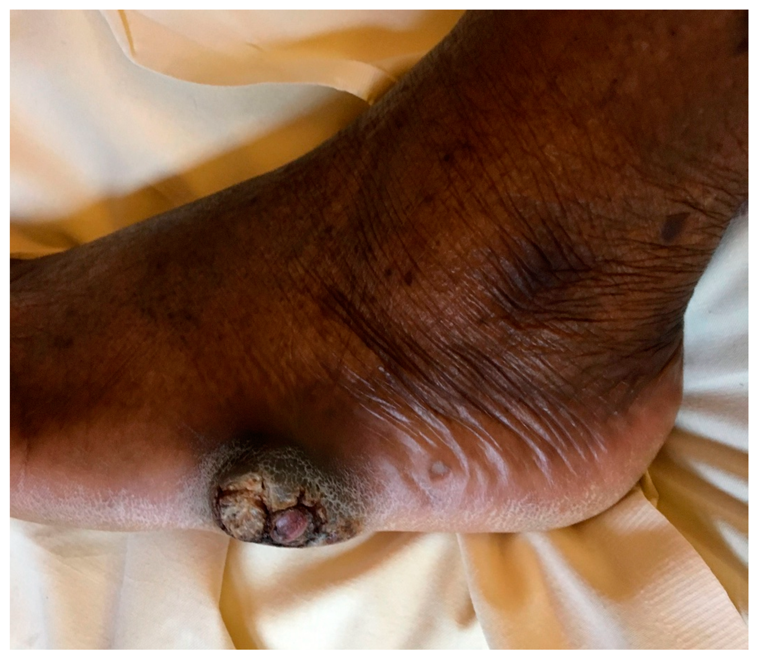 Microorganisms 09 02139 g001