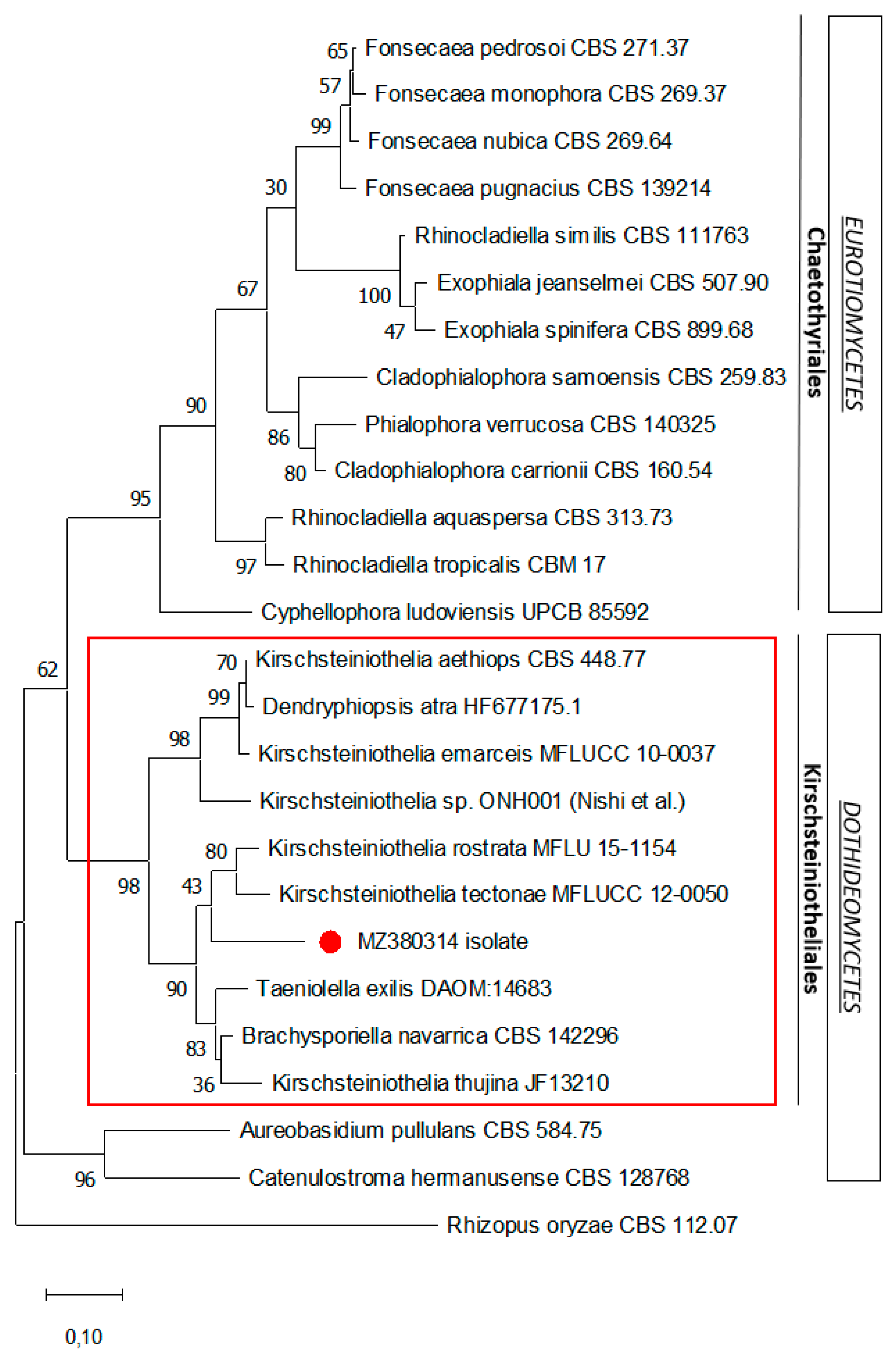 Microorganisms 09 02139 g004