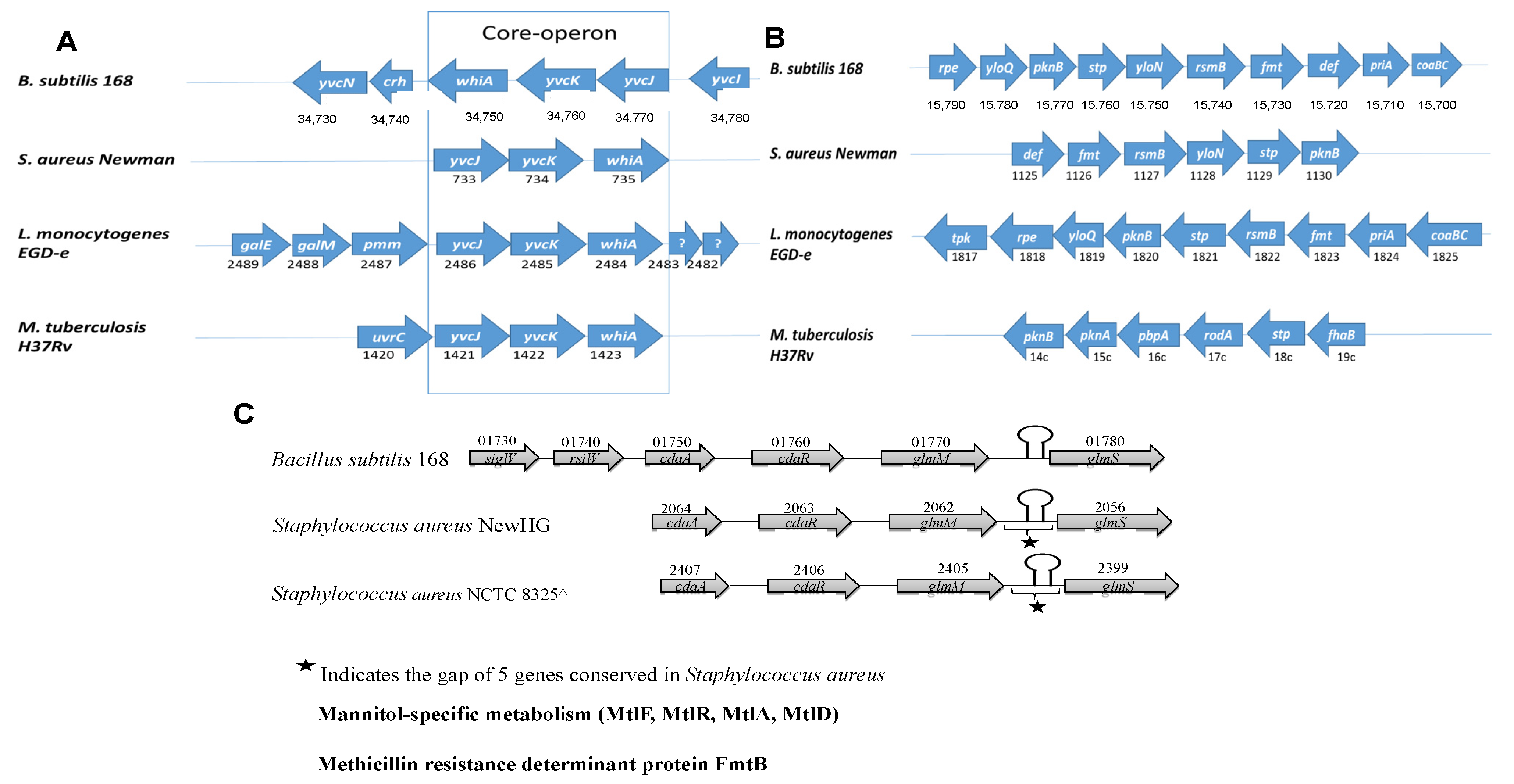 Microorganisms 09 02148 g007 Microorganisms 09 02148 g007