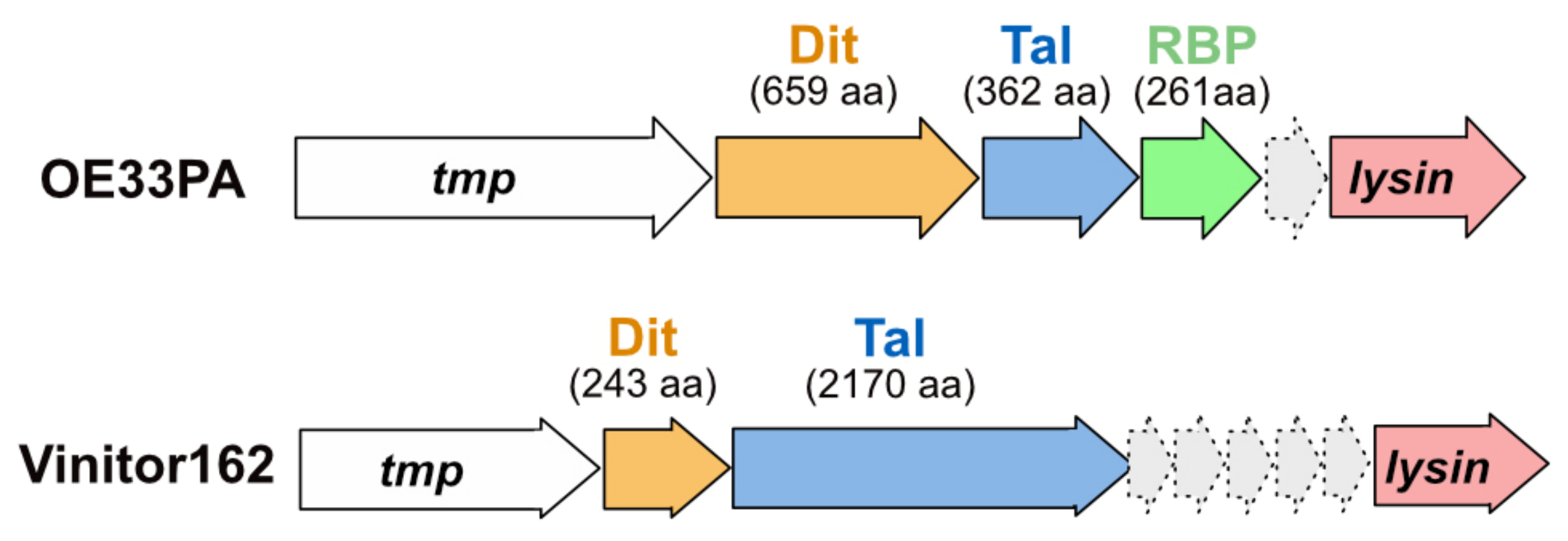Microorganisms 09 02151 g001