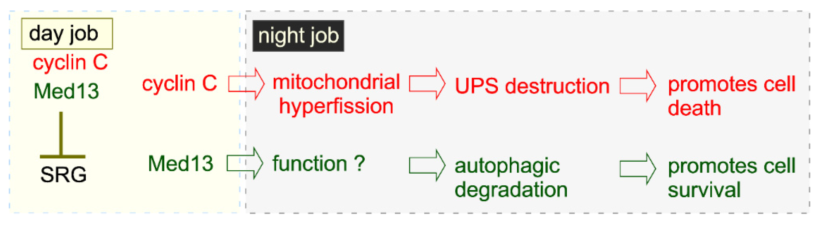 Microorganisms 09 02152 g006