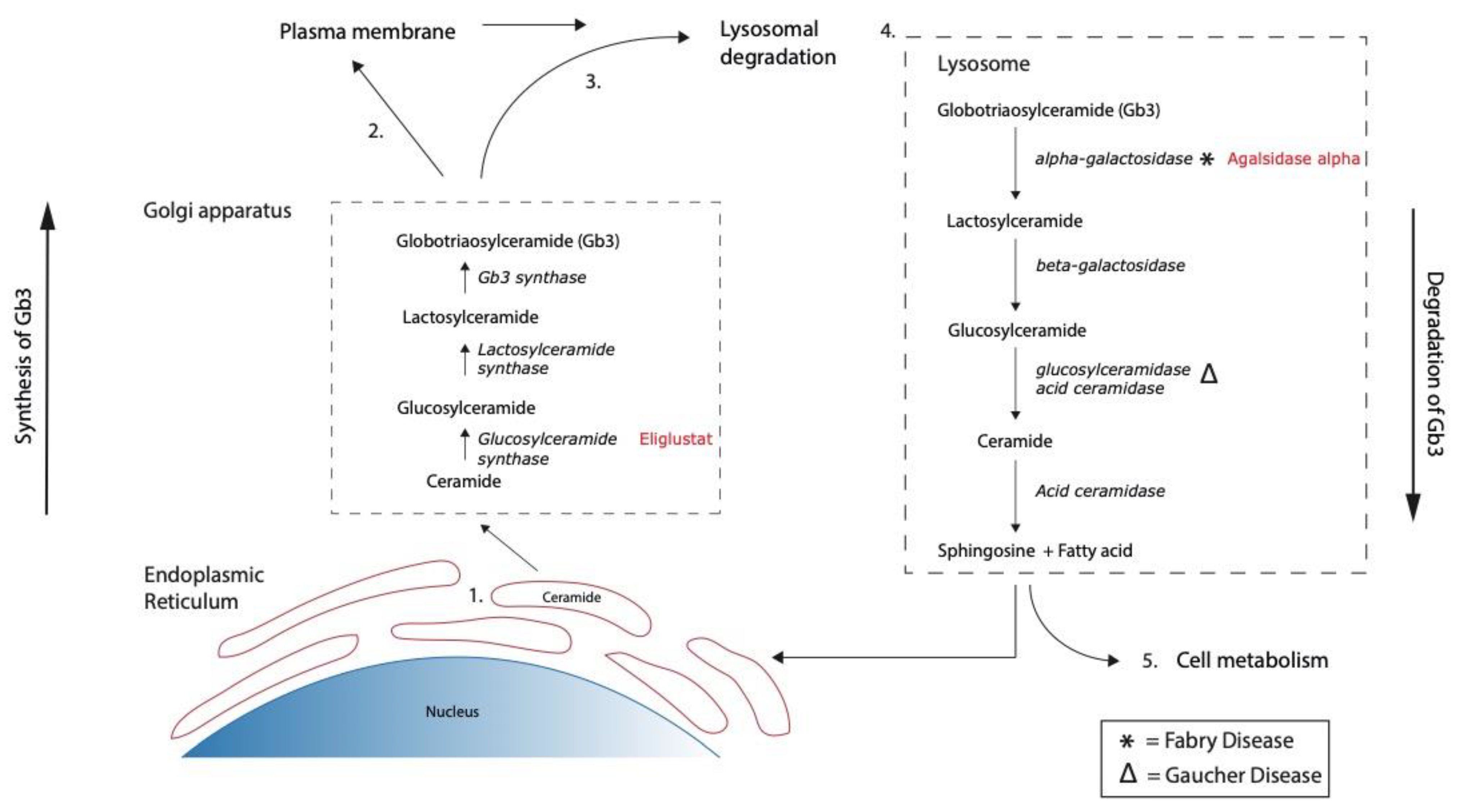 Microorganisms 09 02157 g001