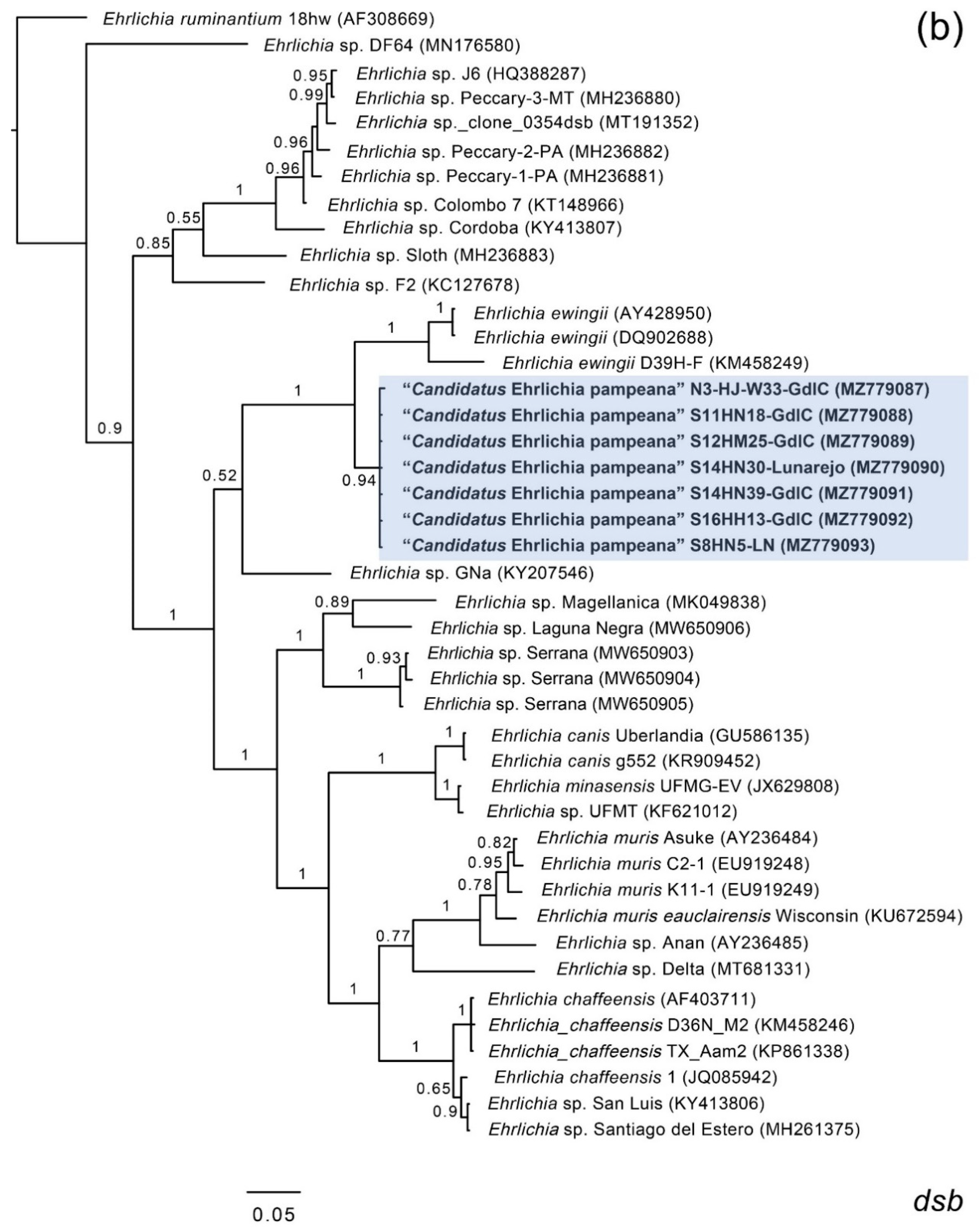 Microorganisms 09 02165 g001b