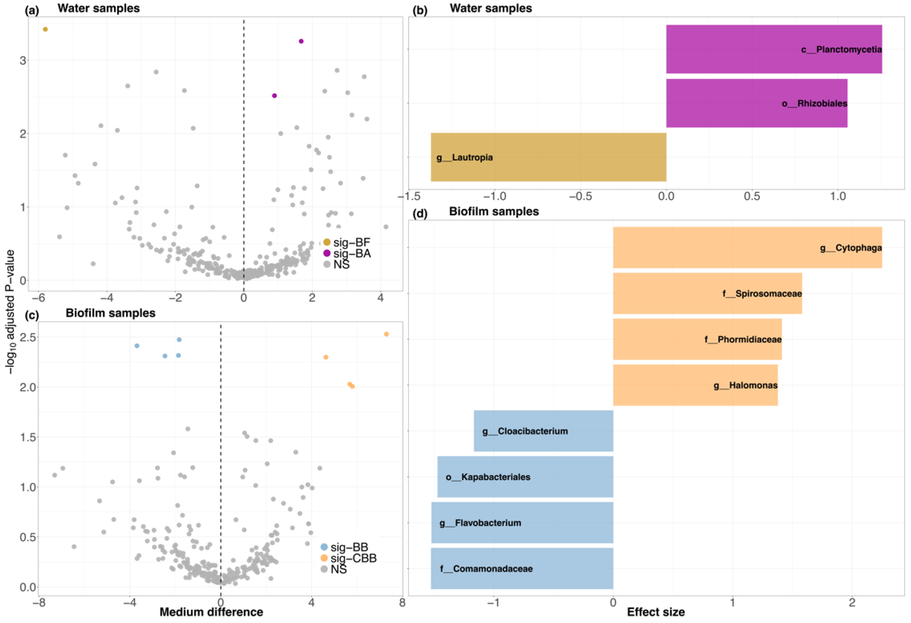 Microorganisms 09 02168 g005
