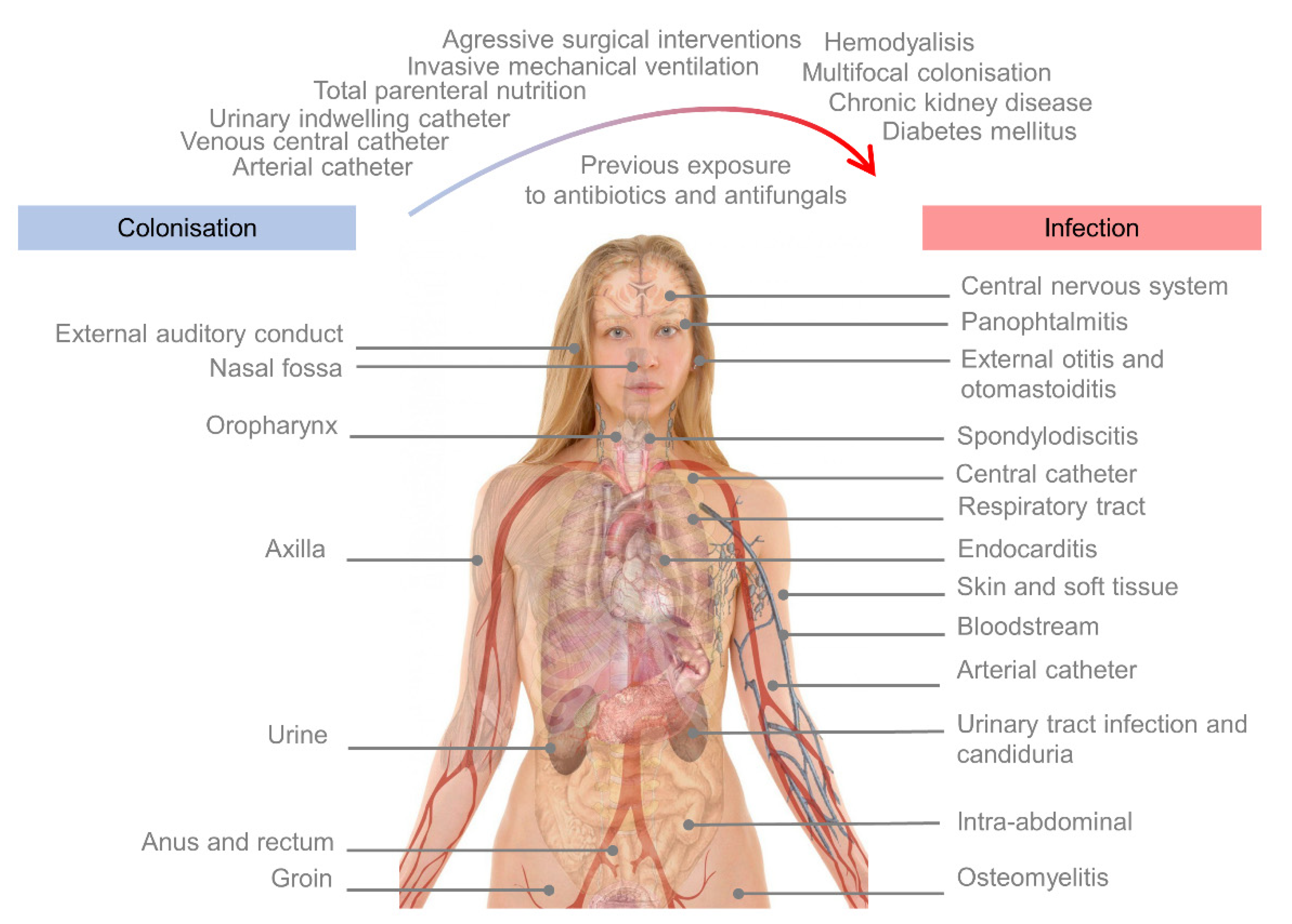 Microorganisms 09 02177 g002 Microorganisms 09 02177 g002