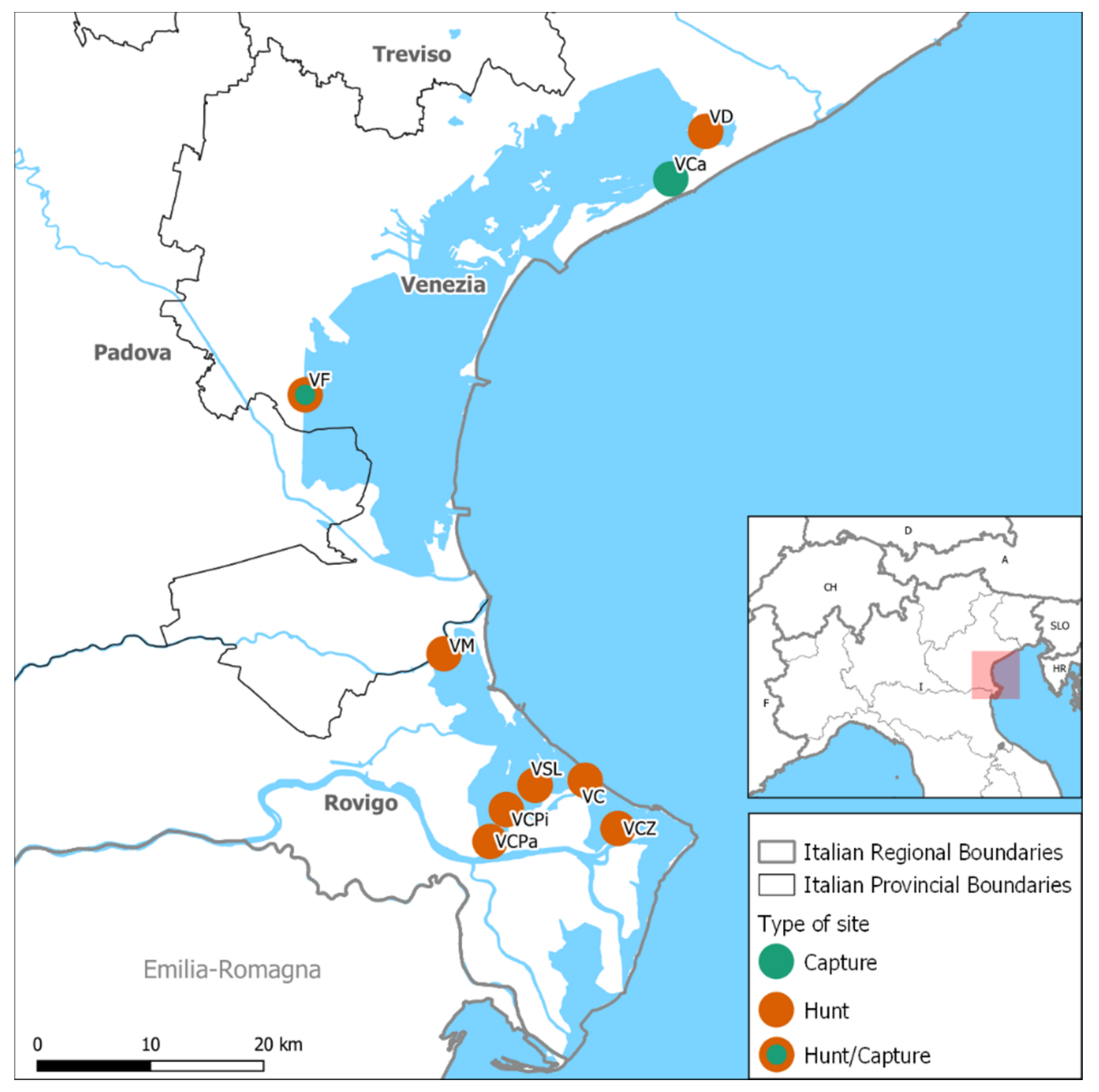 Microorganisms 09 02188 g001