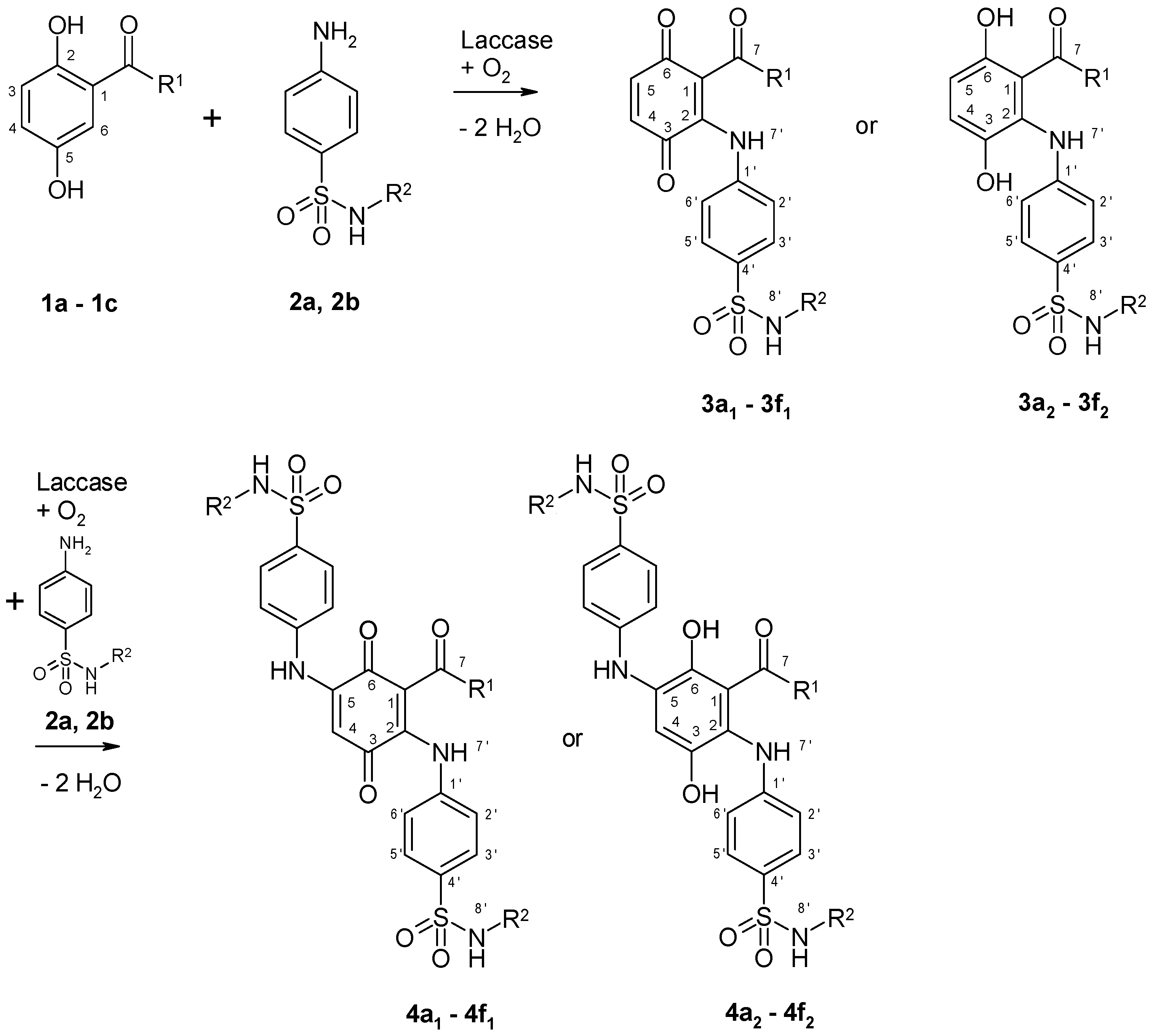 Microorganisms 09 02199 g001
