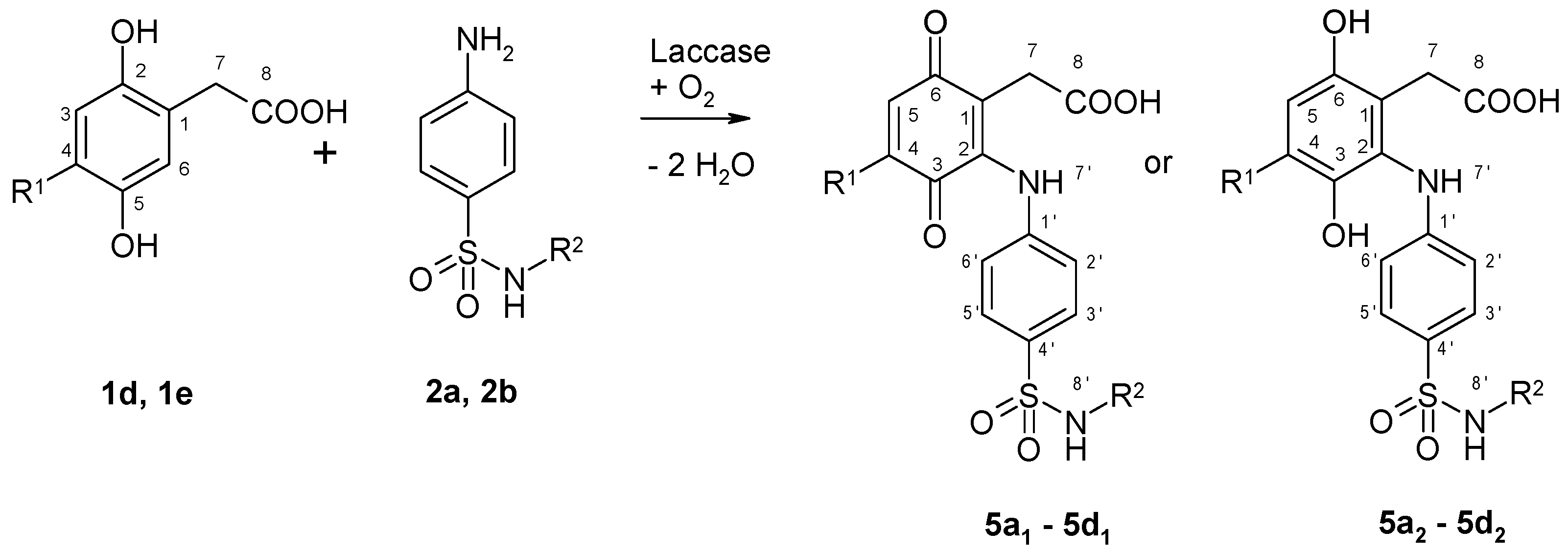 Microorganisms 09 02199 g002