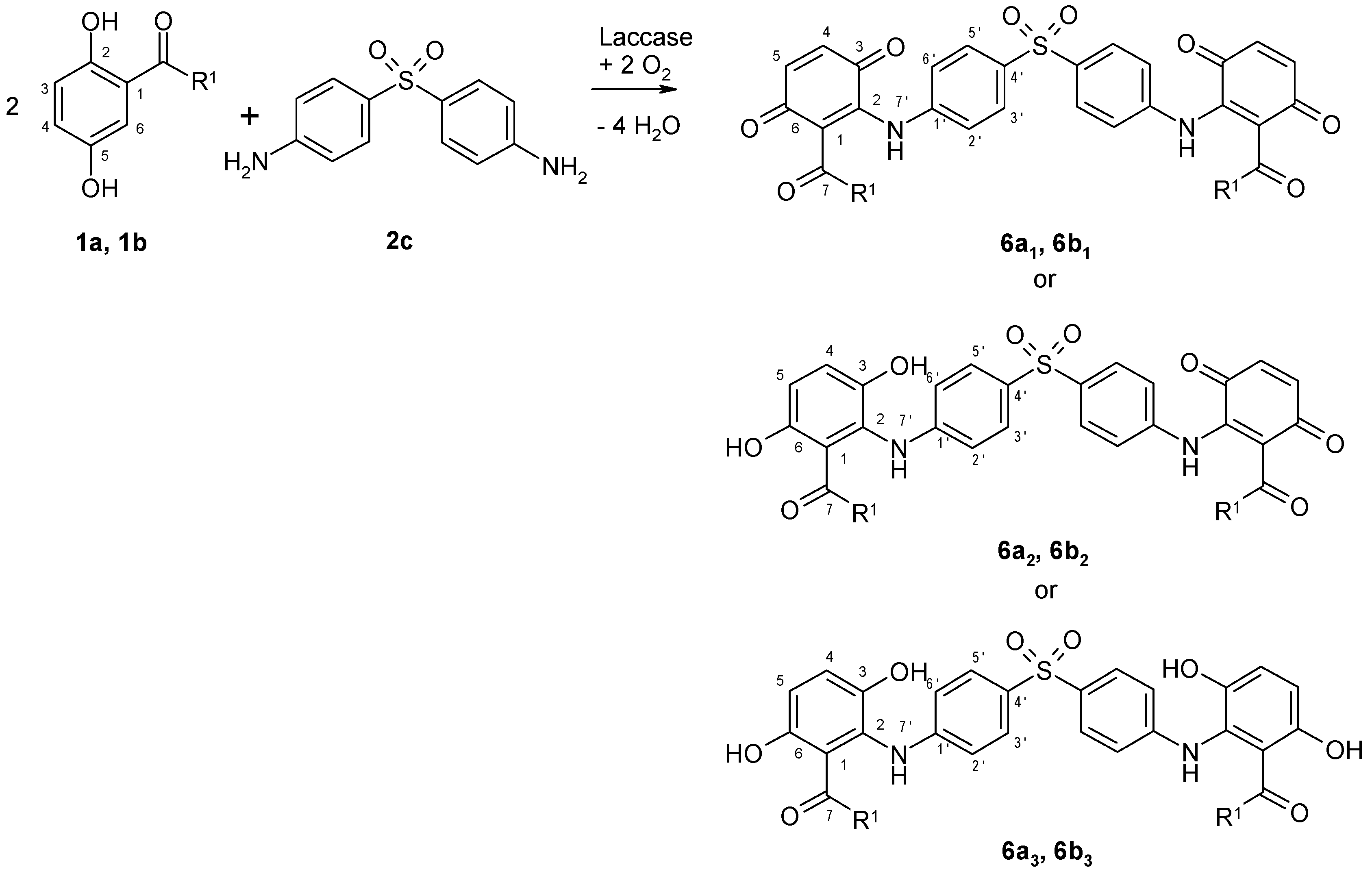 Microorganisms 09 02199 g003