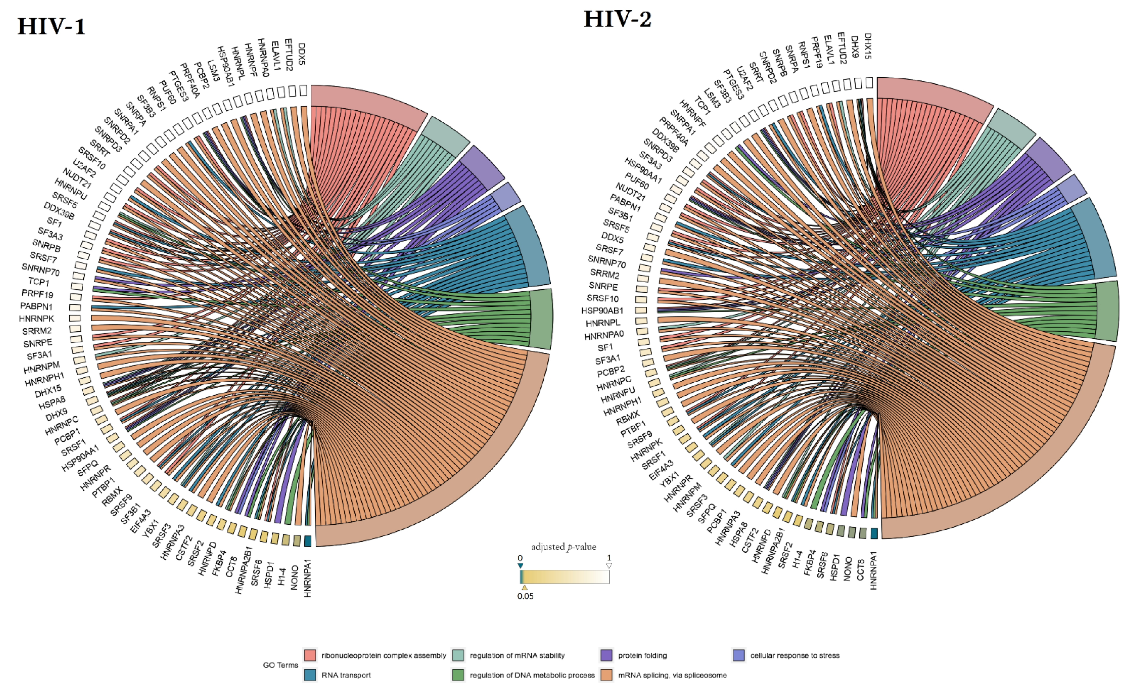 Microorganisms 09 02207 g007