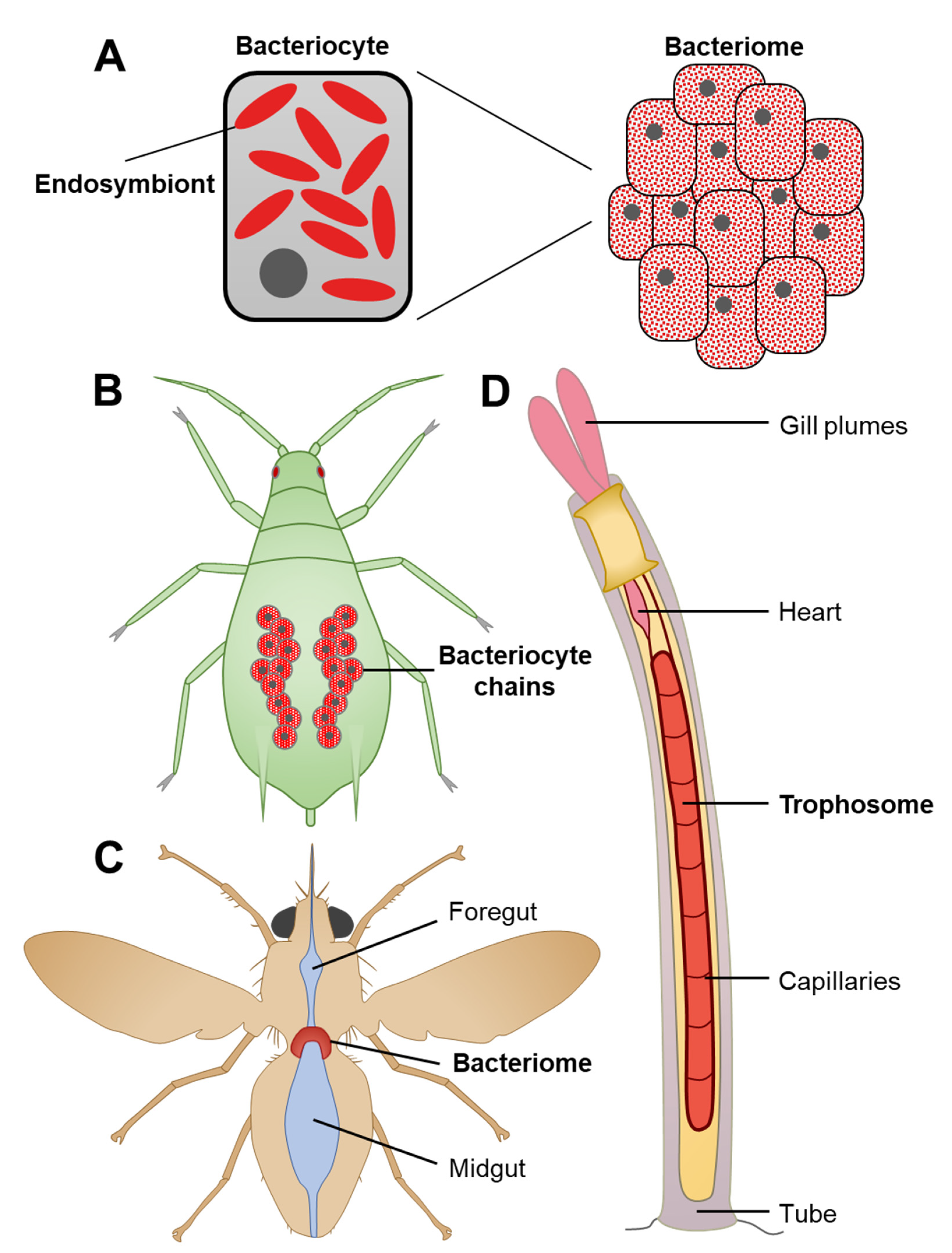 Microorganisms 09 02209 g002 Microorganisms 09 02209 g002