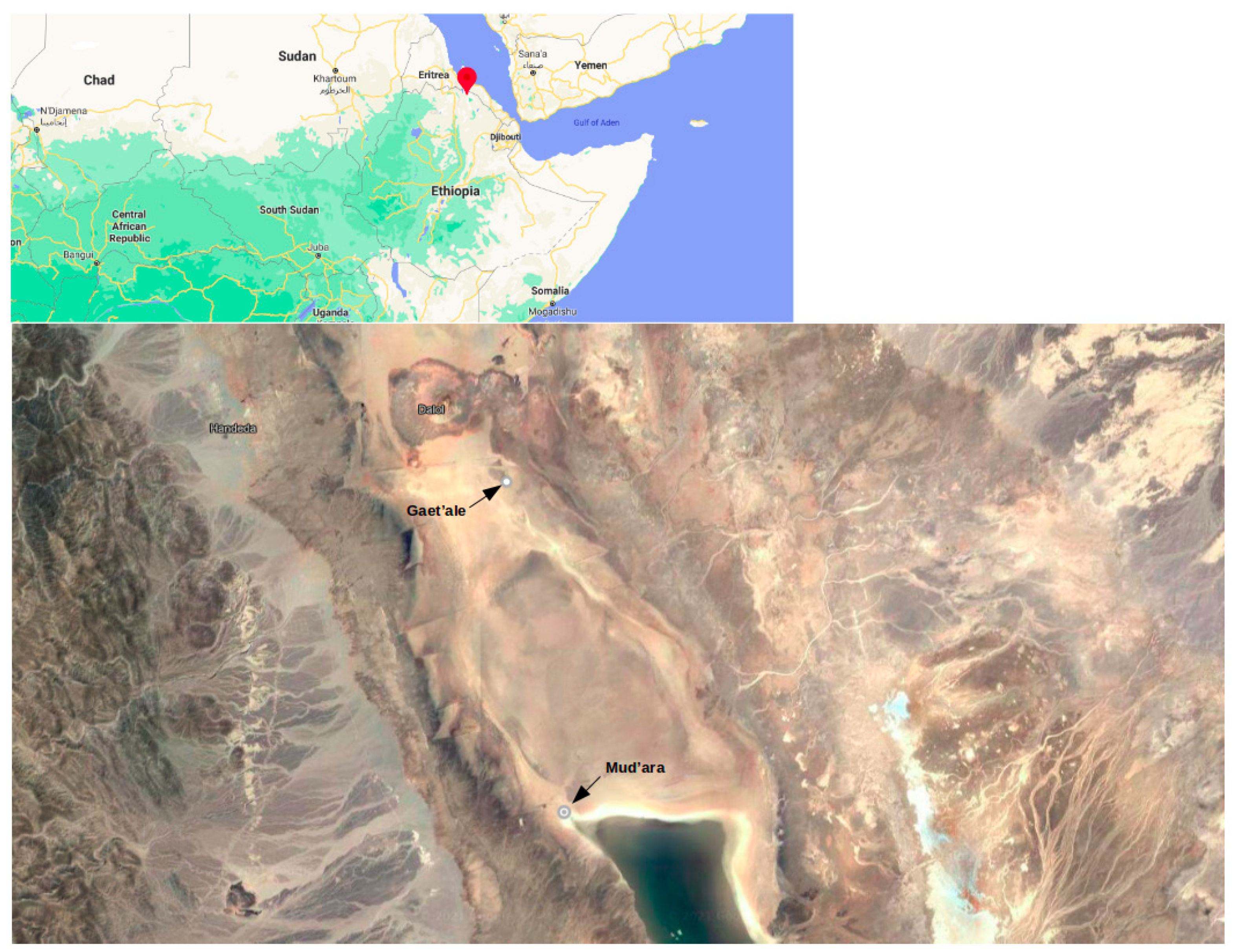Microorganisms 09 02211 g001