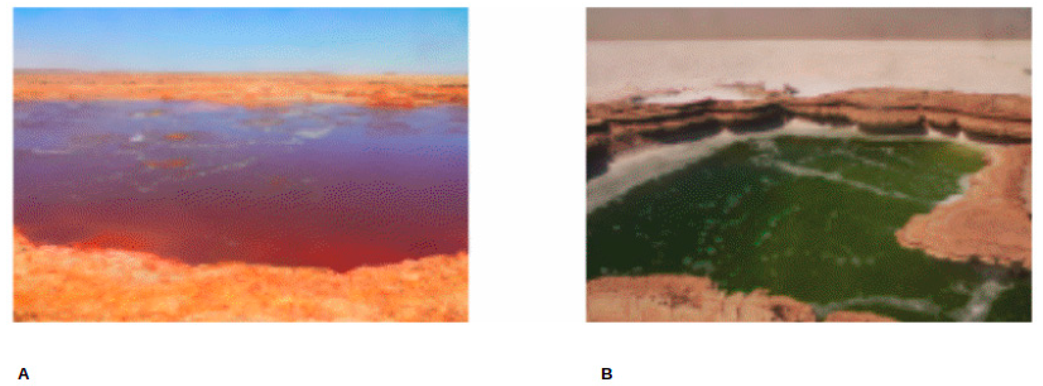 Microorganisms 09 02211 g002