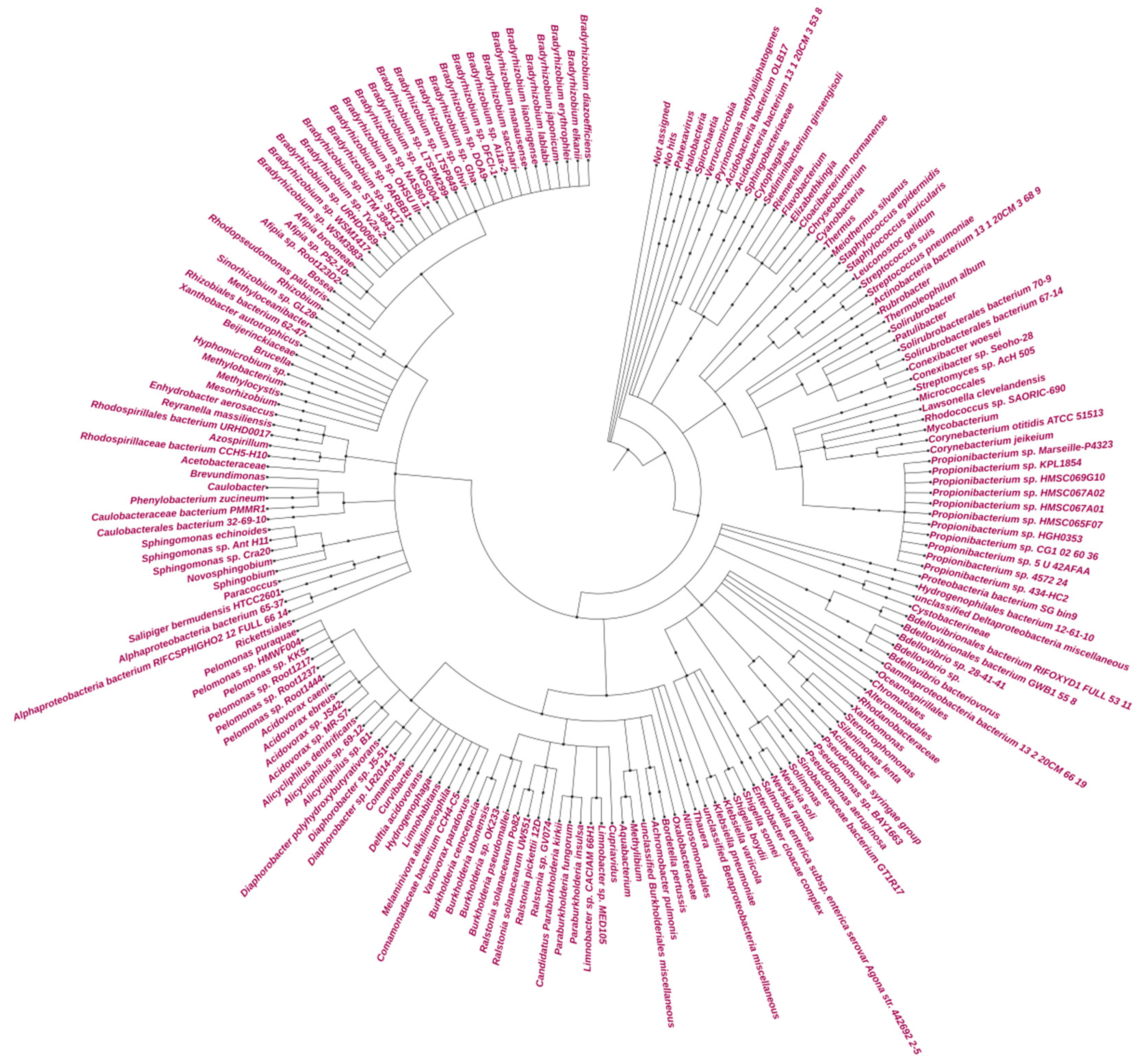 Microorganisms 09 02211 g003