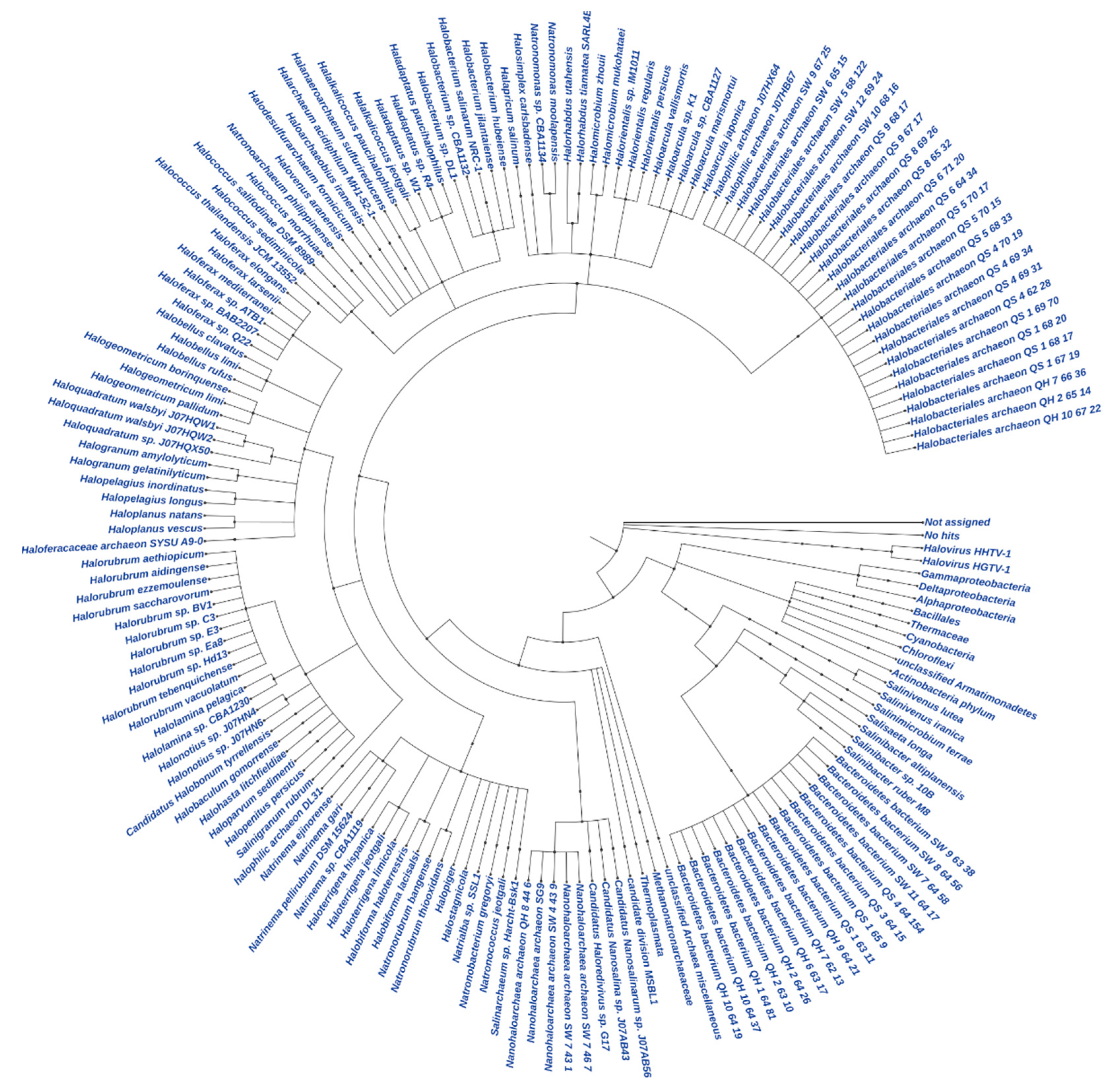Microorganisms 09 02211 g004