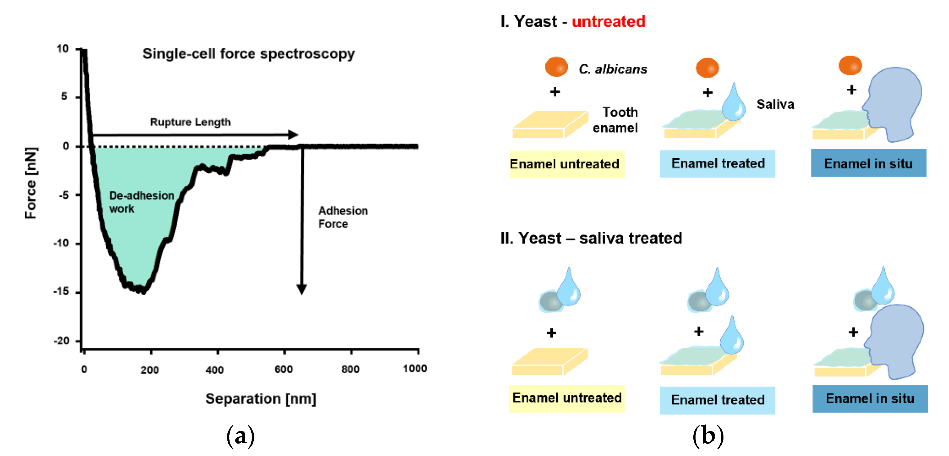Microorganisms 09 02213 g002