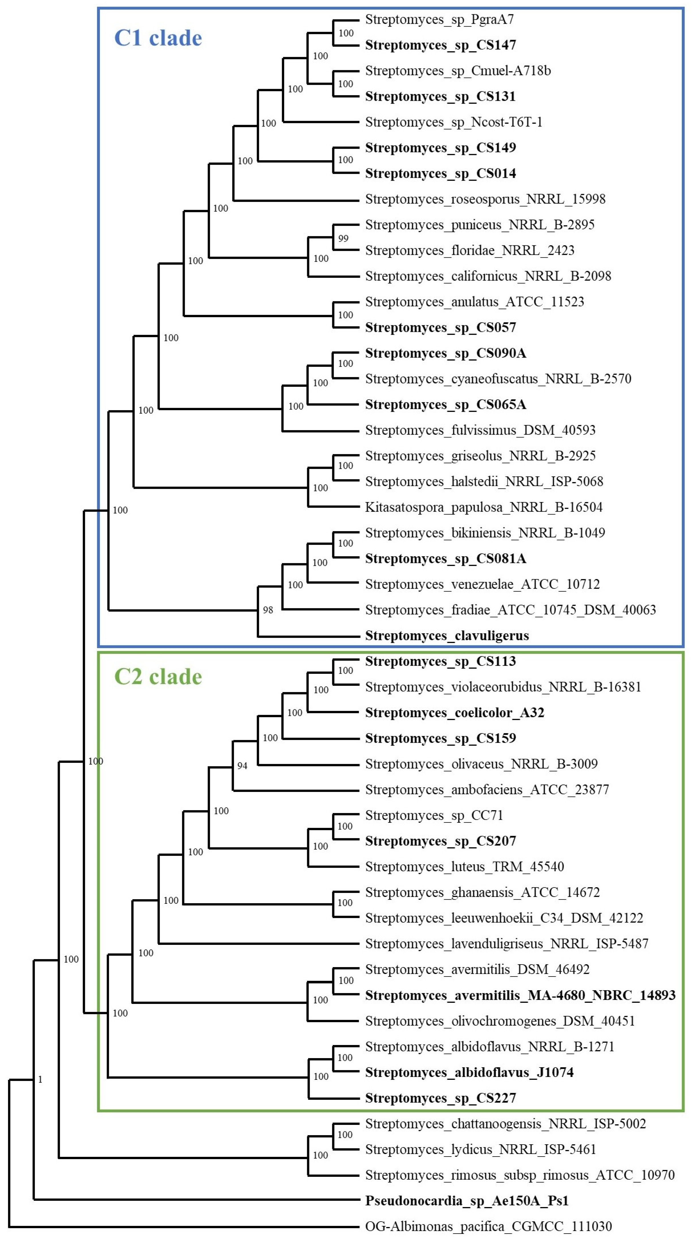Microorganisms 09 02225 g001