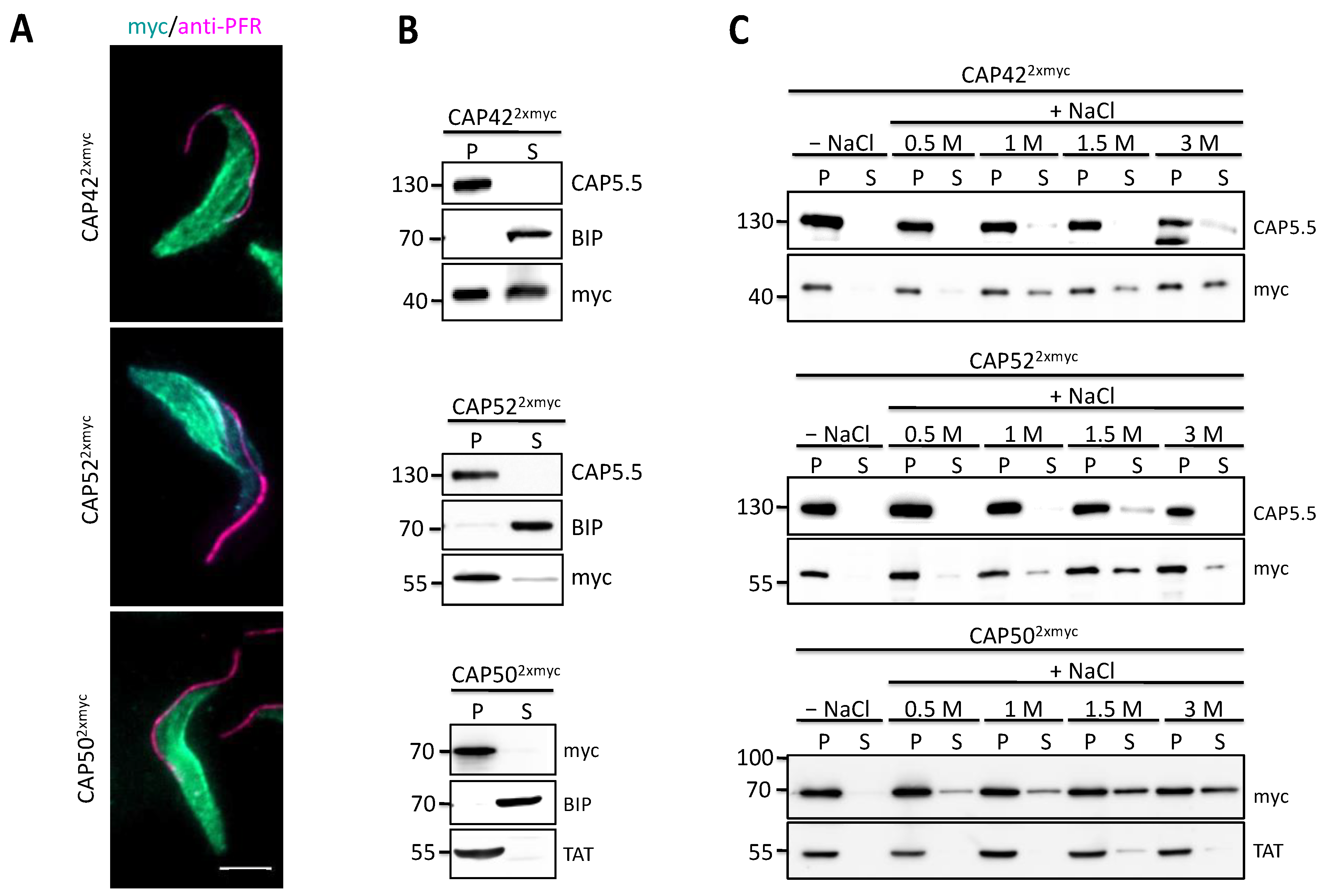 Microorganisms 09 02234 g002