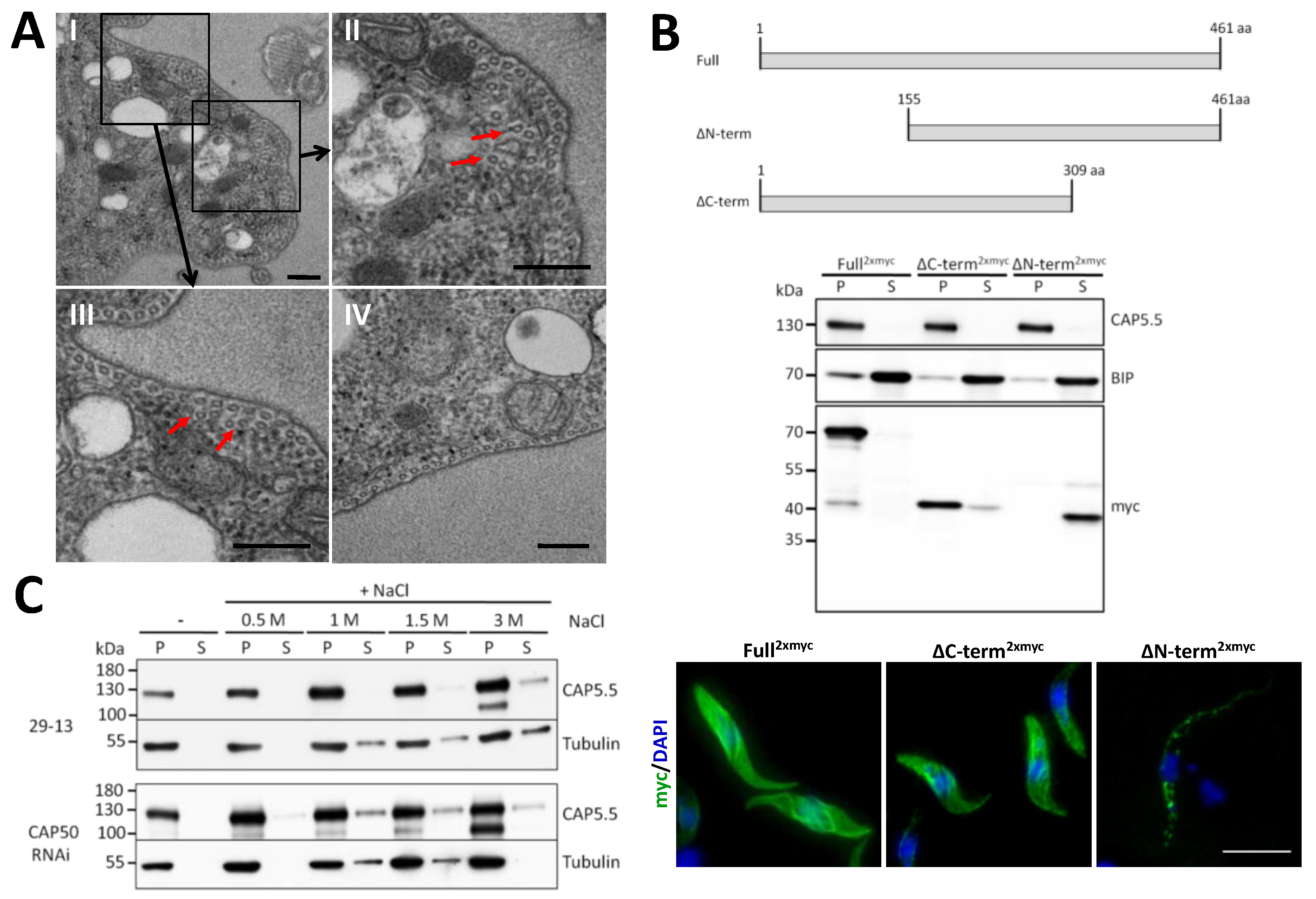 Microorganisms 09 02234 g005