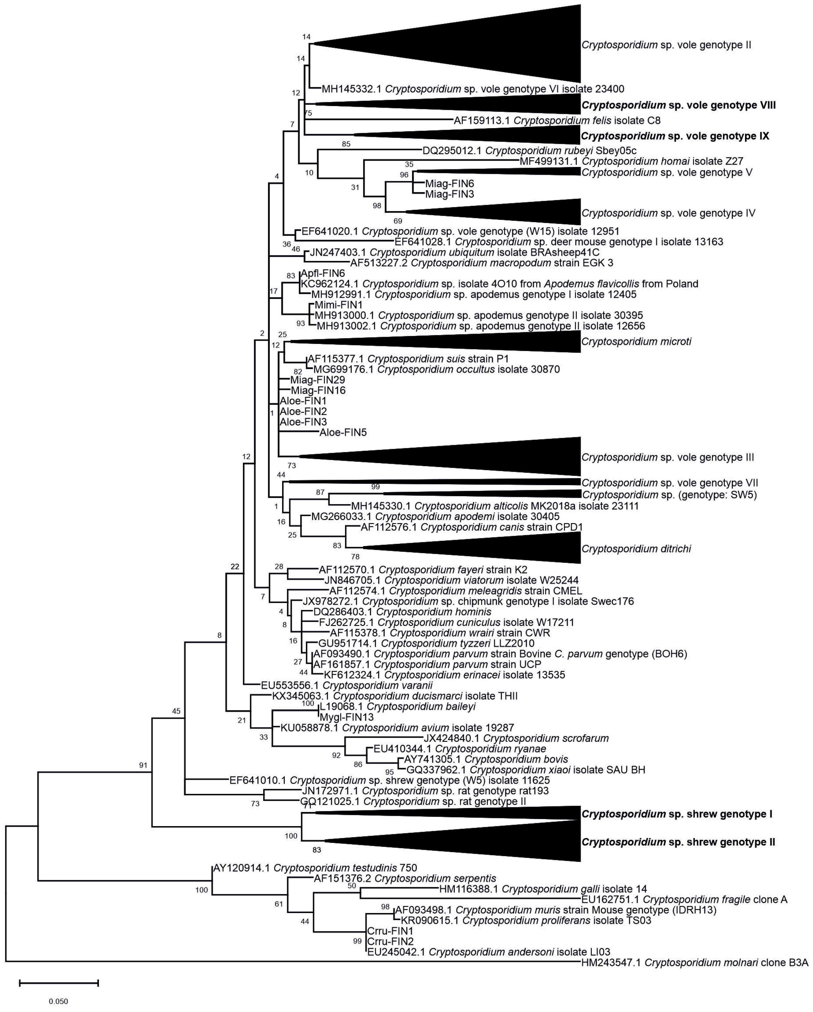 Microorganisms 09 02242 g001 Microorganisms 09 02242 g001