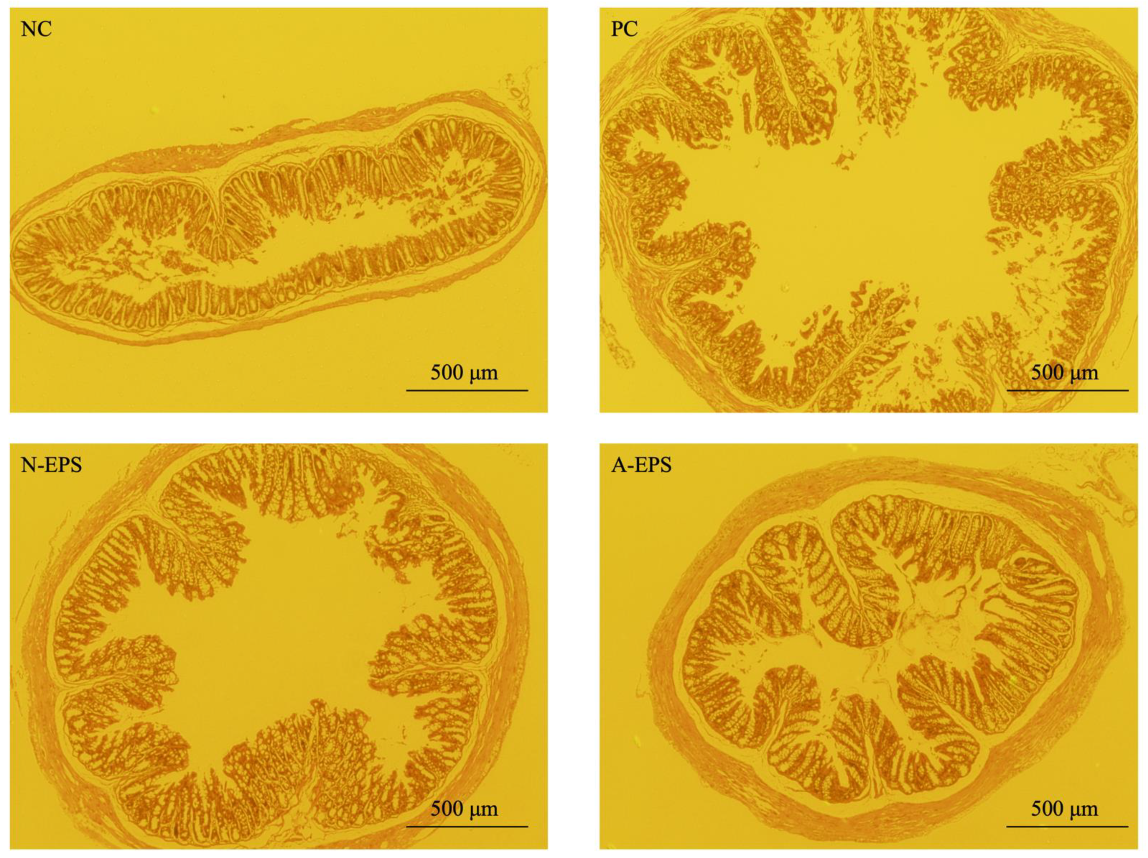 Microorganisms 09 02243 g005