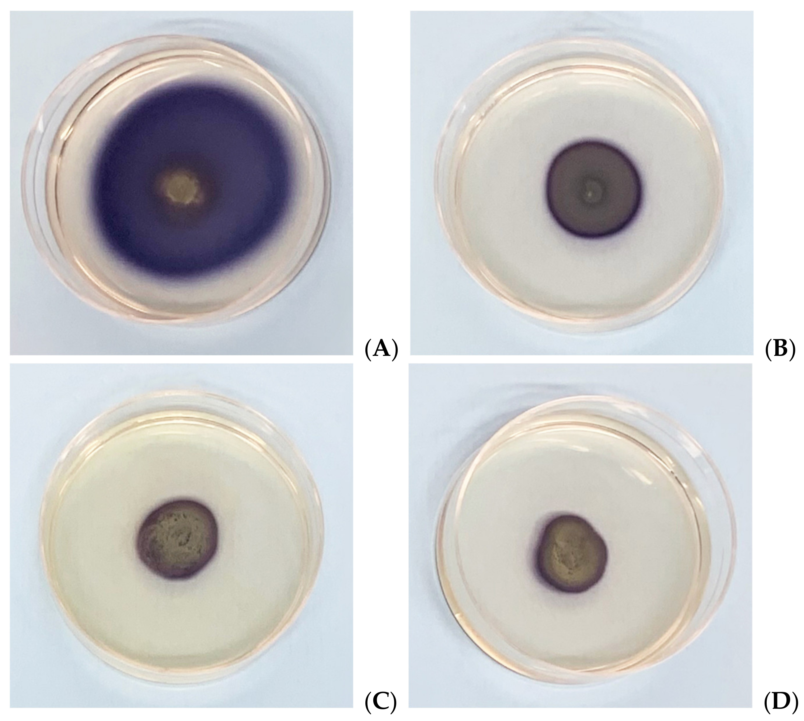 Microorganisms 09 02244 g003