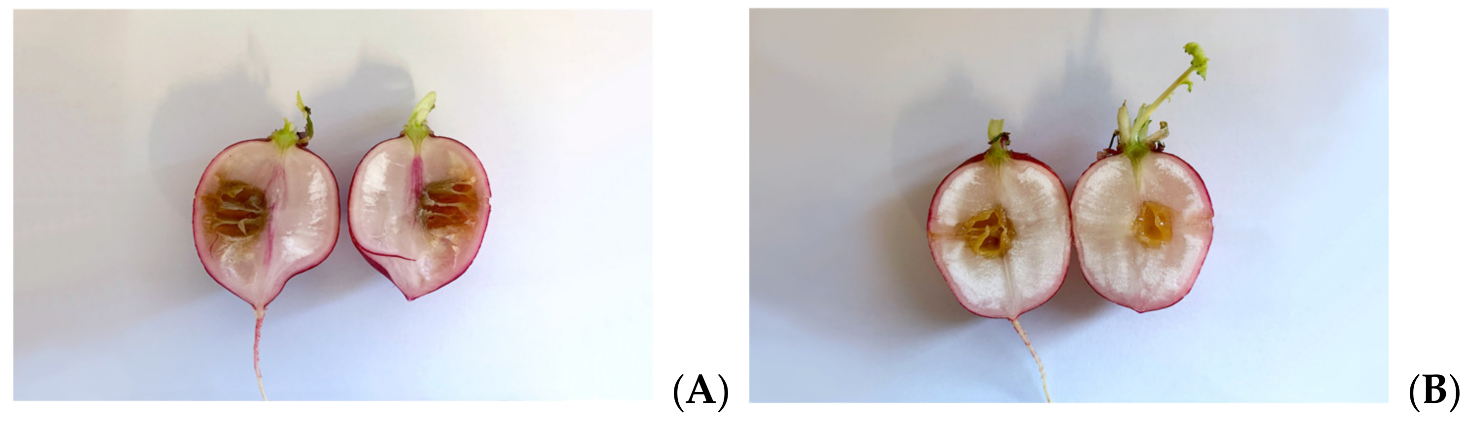 Microorganisms 09 02244 g005a