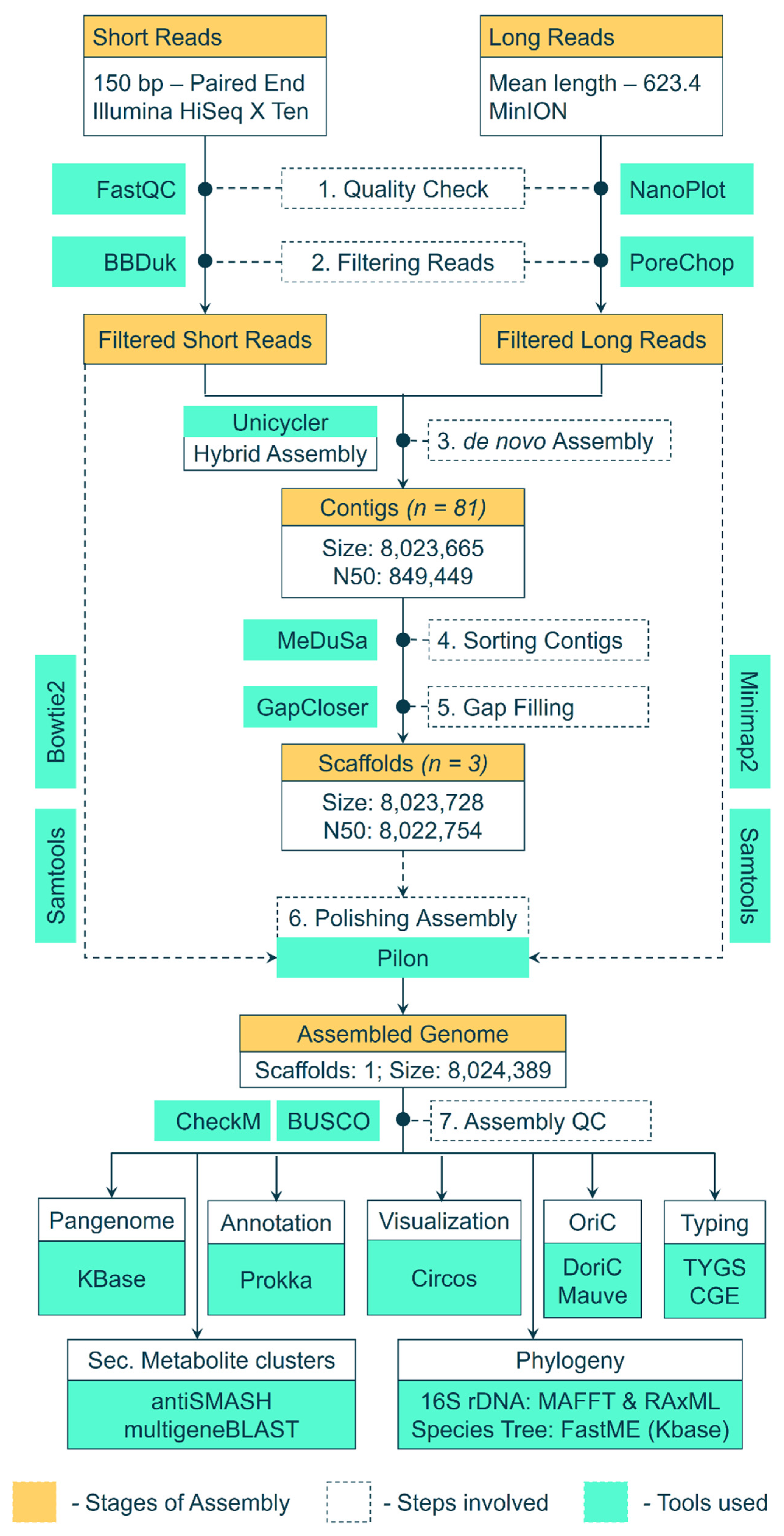Microorganisms 09 02249 g001
