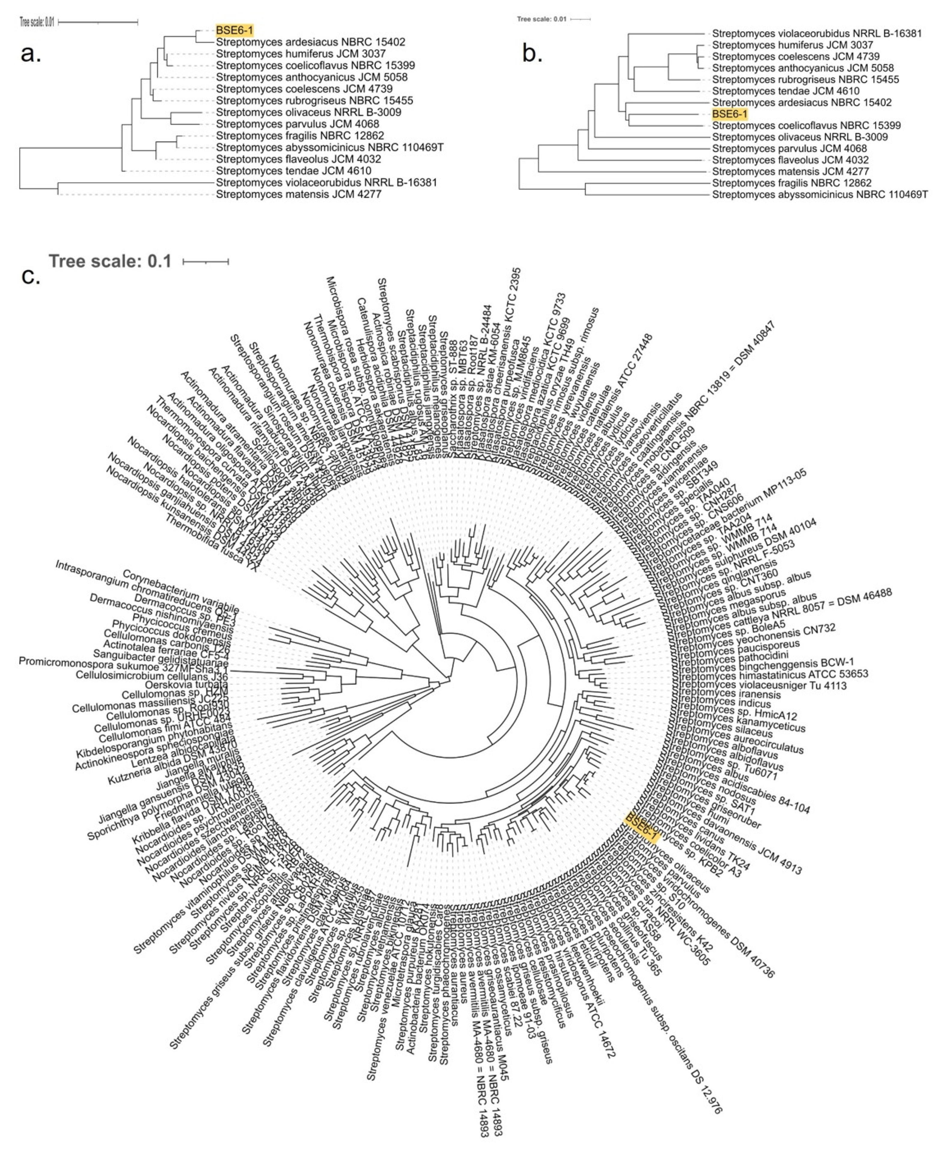 Microorganisms 09 02249 g004
