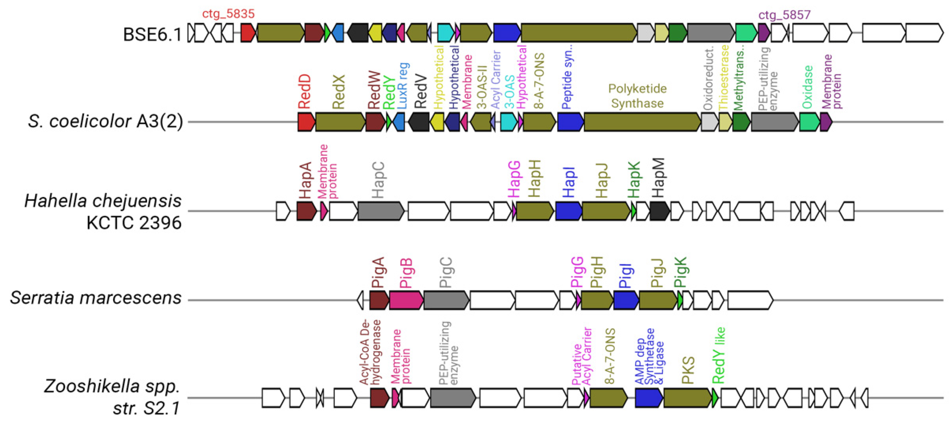 Microorganisms 09 02249 g007