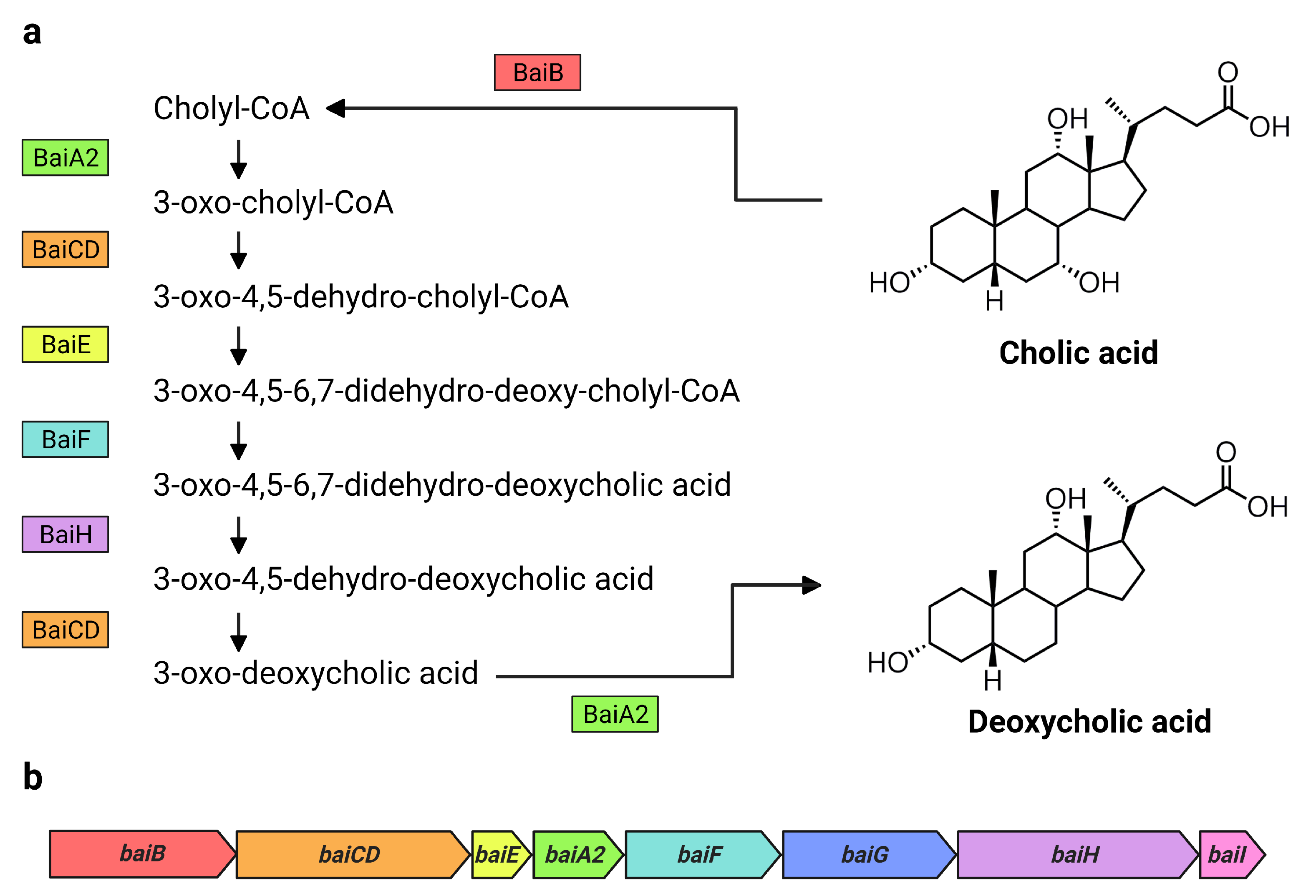 Microorganisms 09 02254 g001