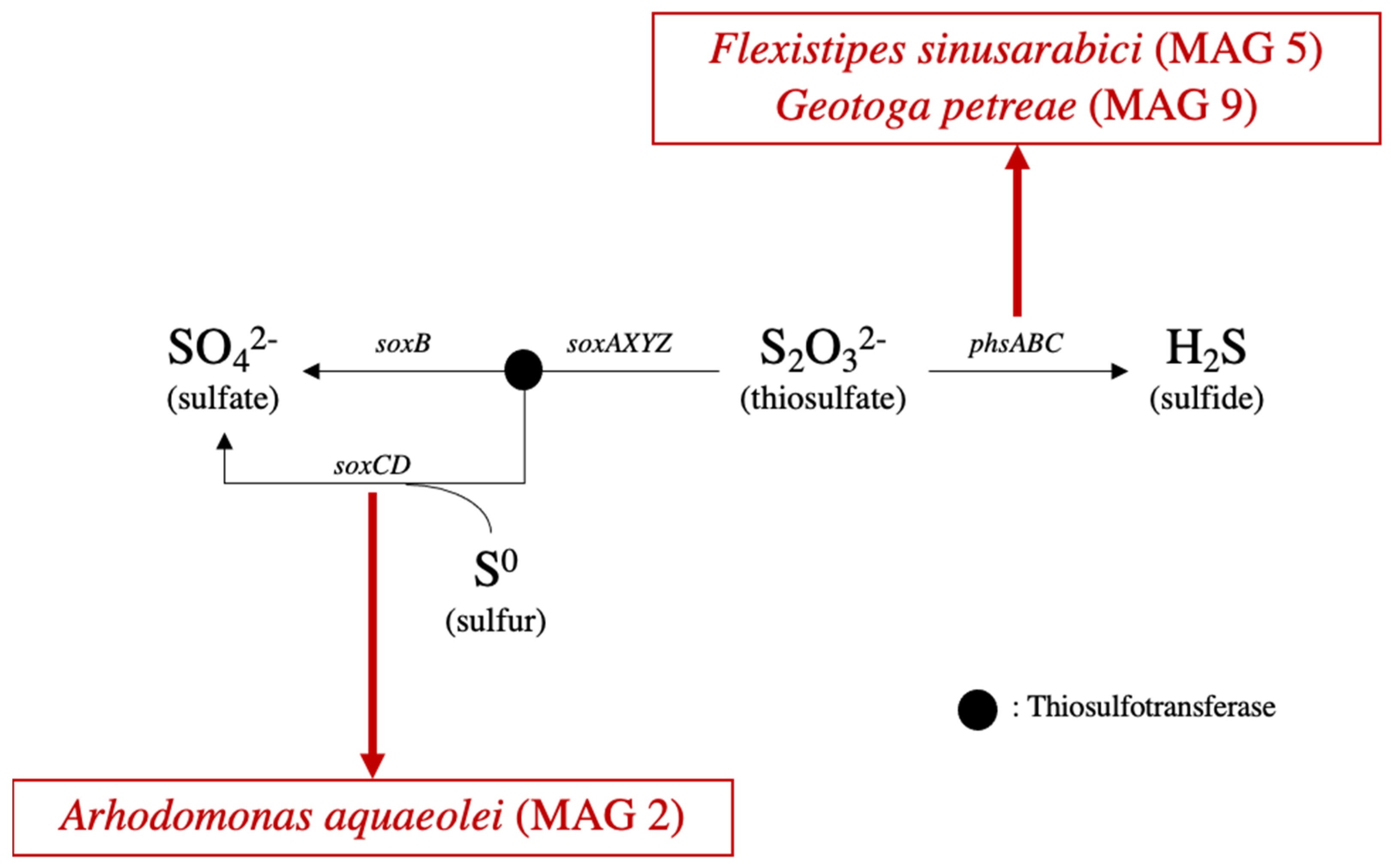 Microorganisms 09 02266 g002