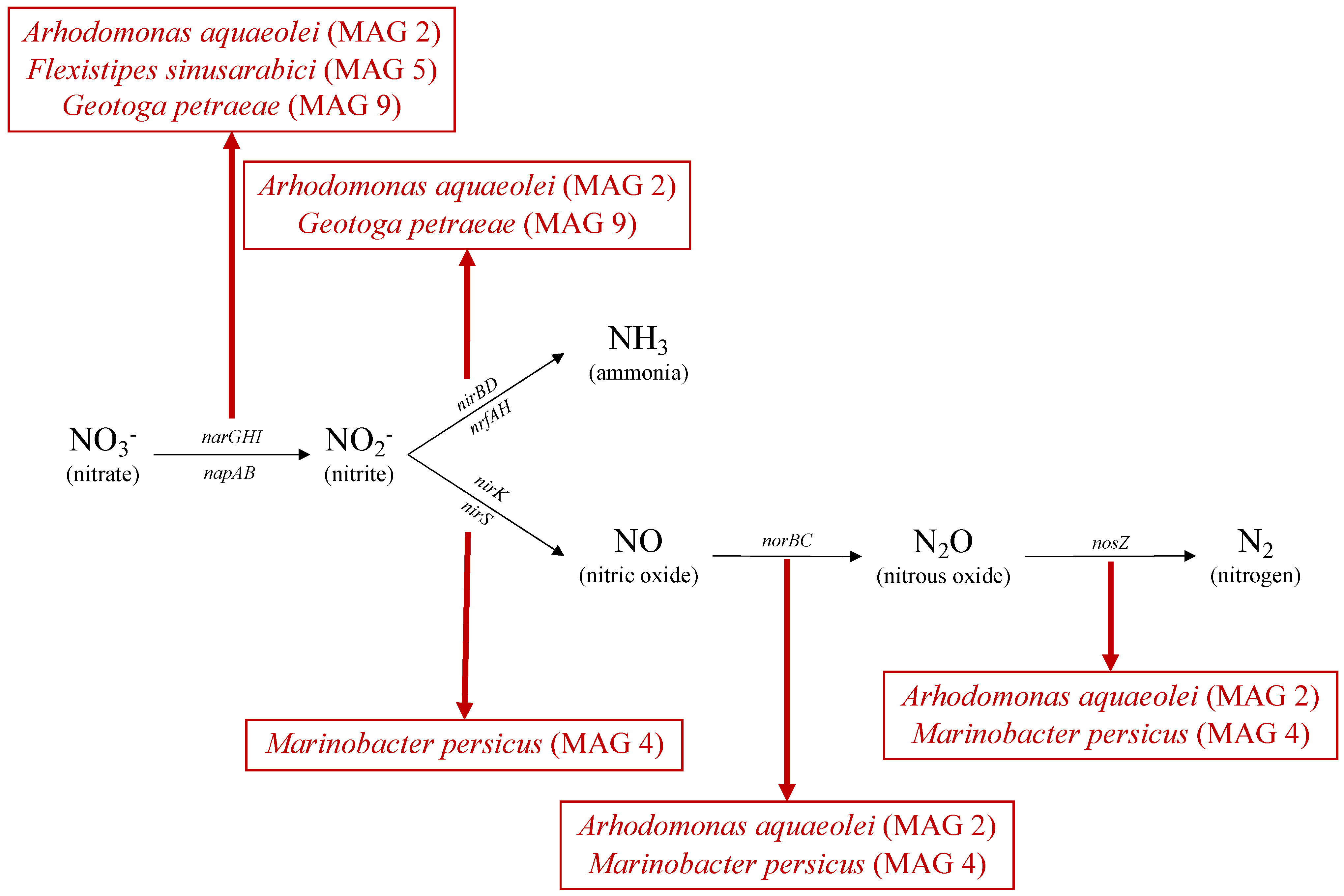Microorganisms 09 02266 g003